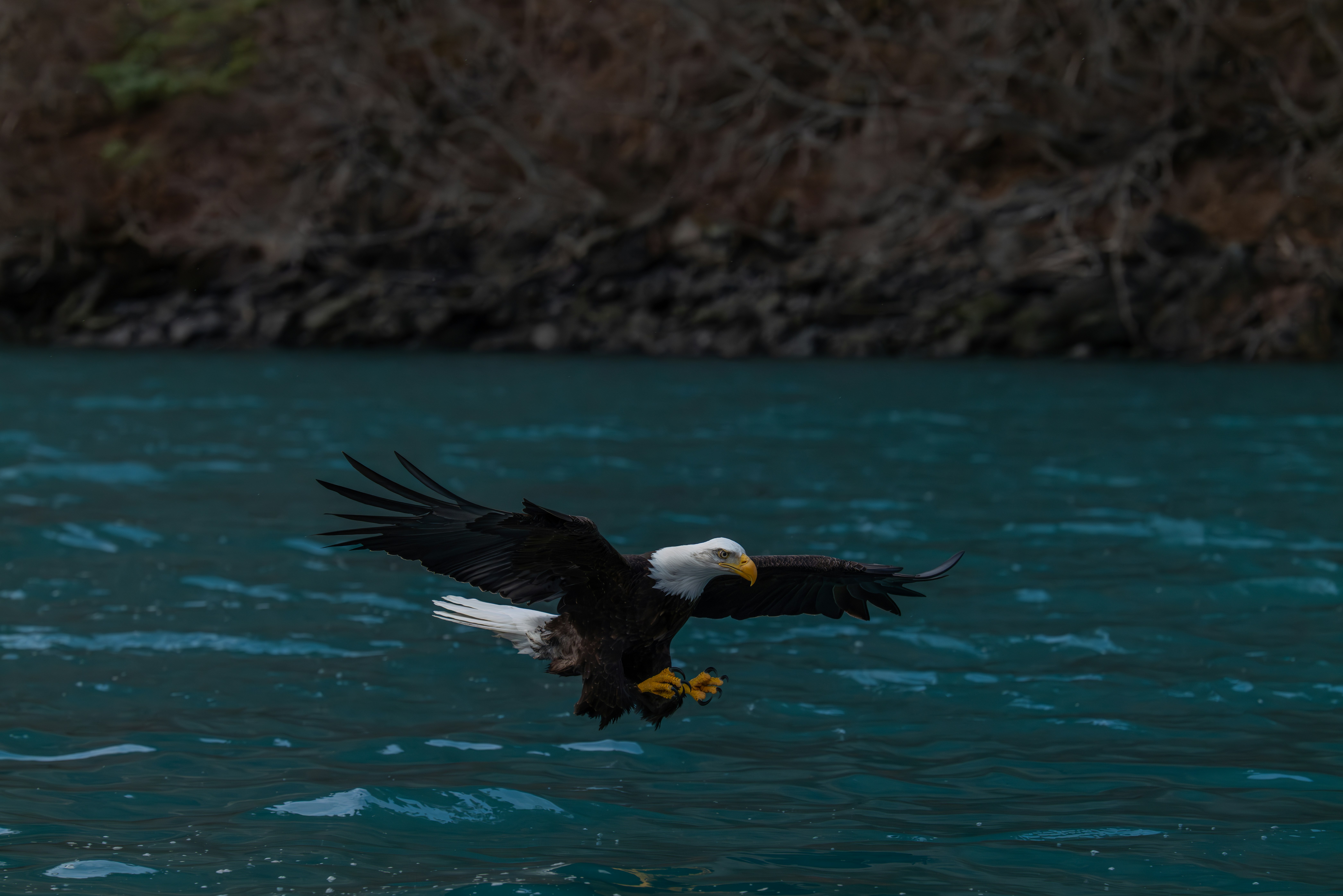 Photo by huntermastersmusic