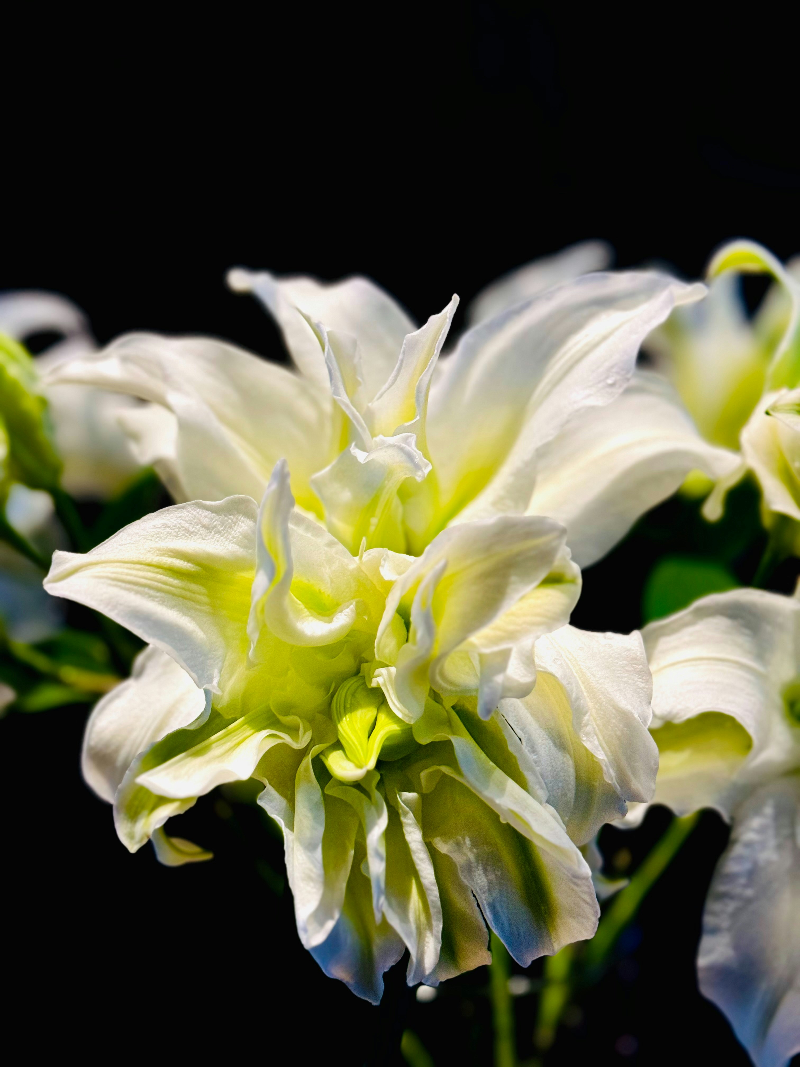 Photo by quantri8803