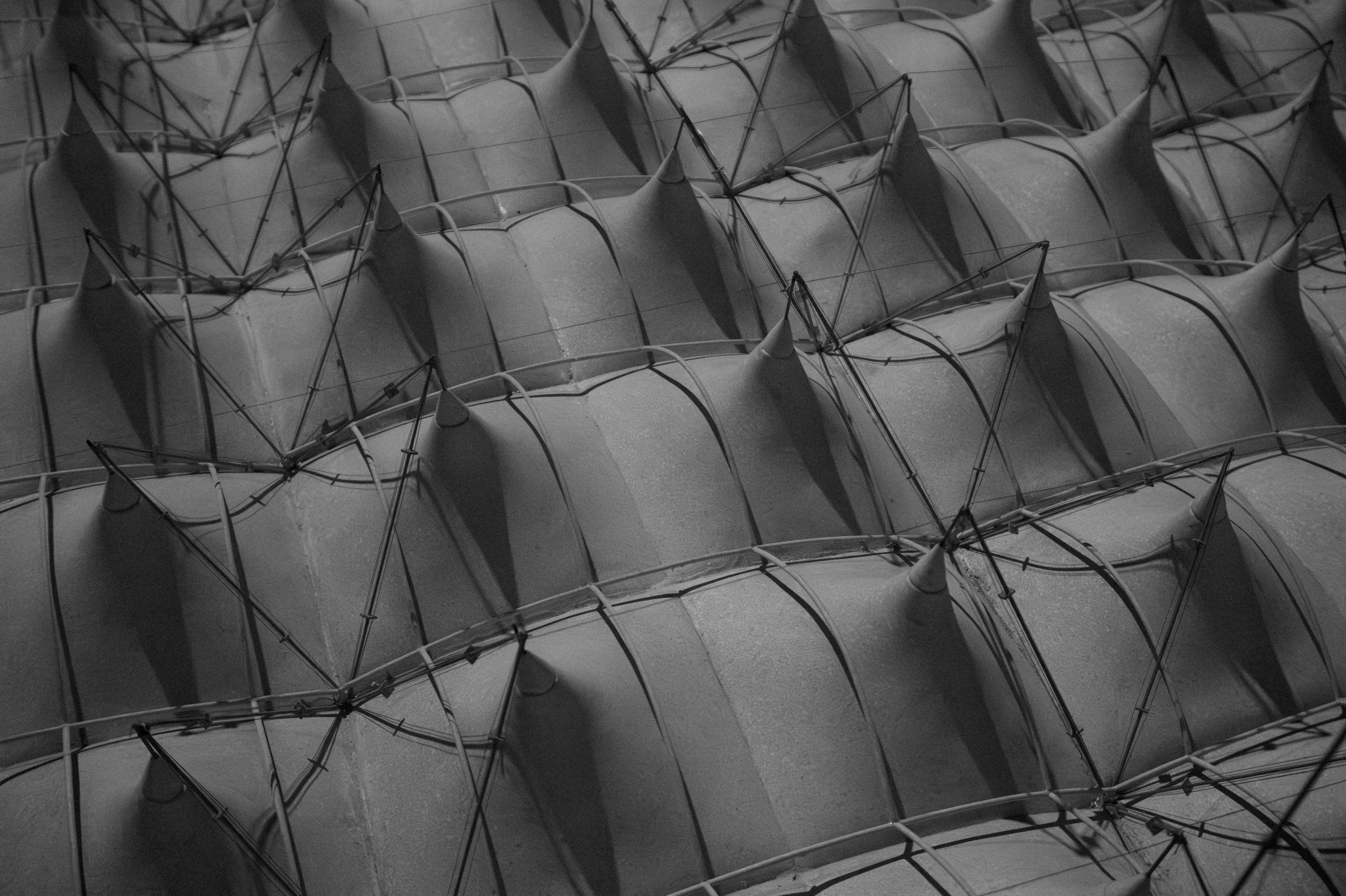 Photo by filipenobre