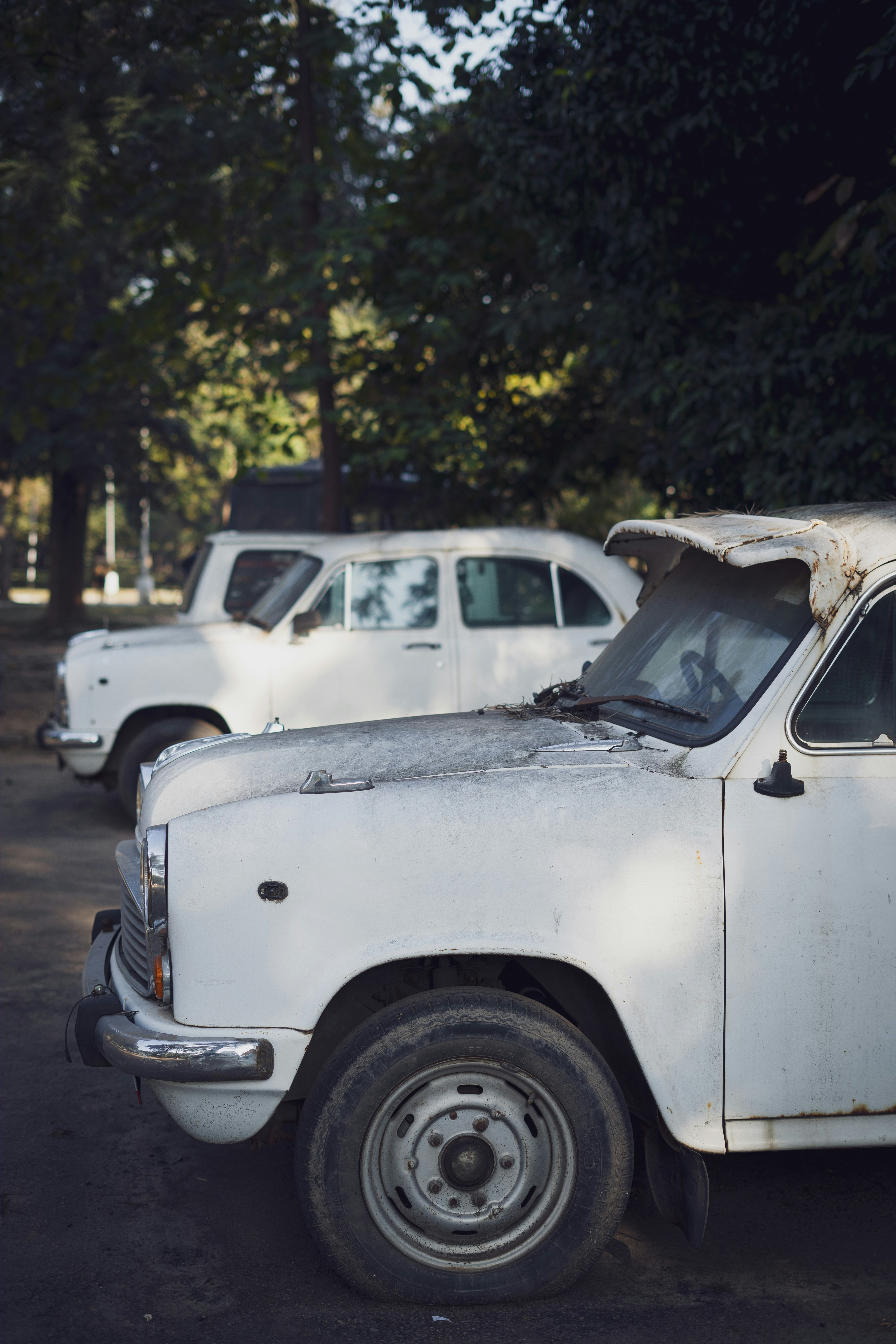 Photo by saqlainashrafclicks