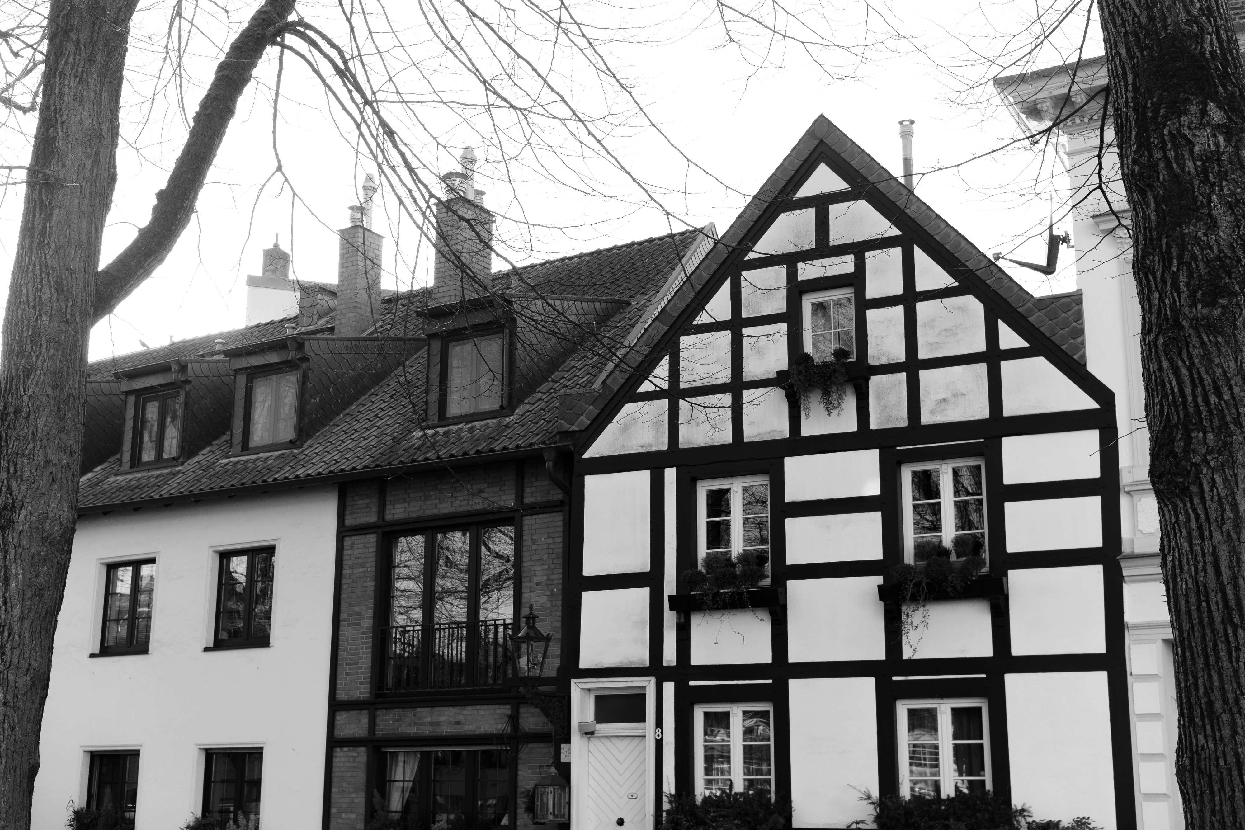 Photo by markuswinkler