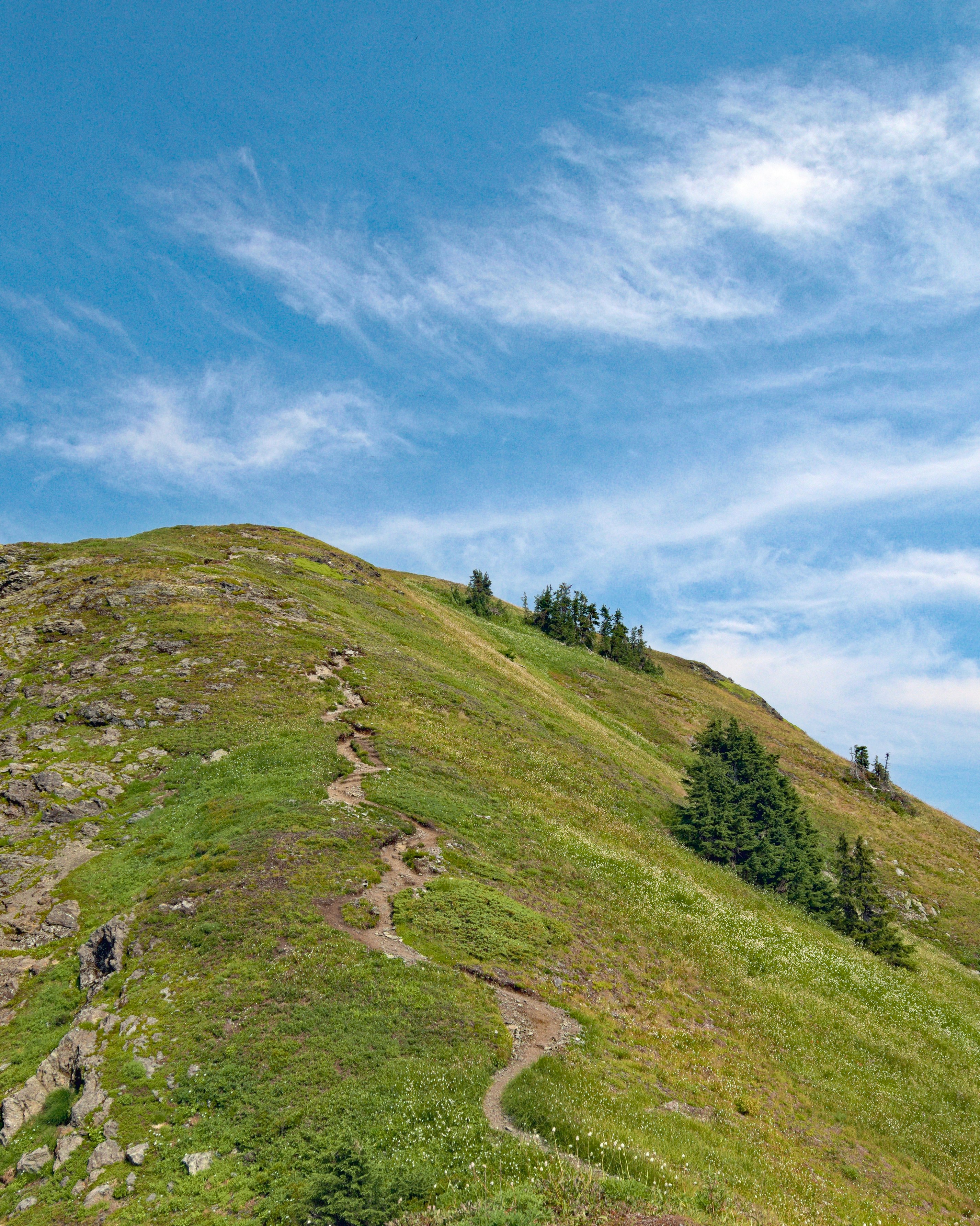 Photo by photerrestrial