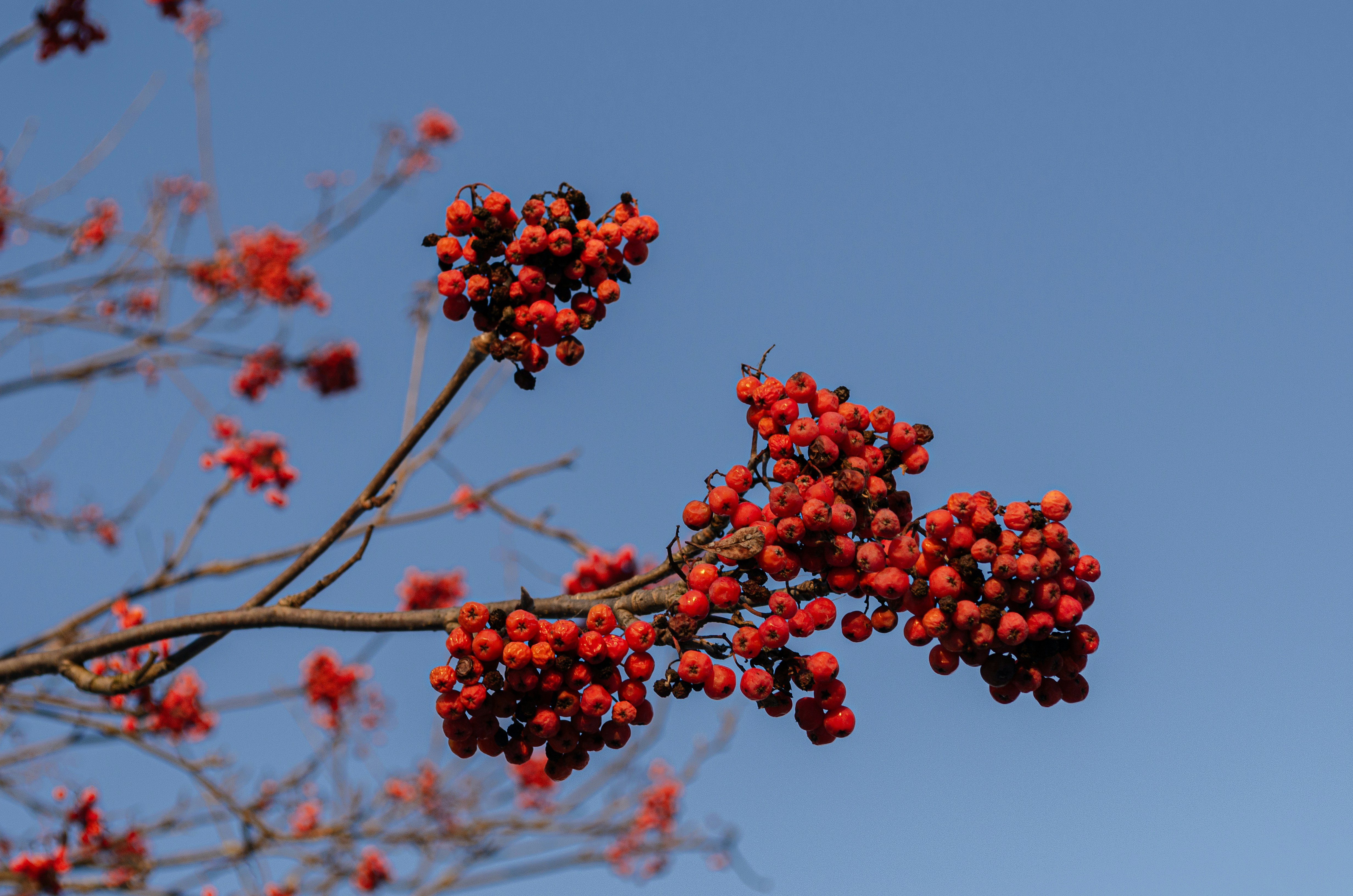 Photo by andrilliardbond