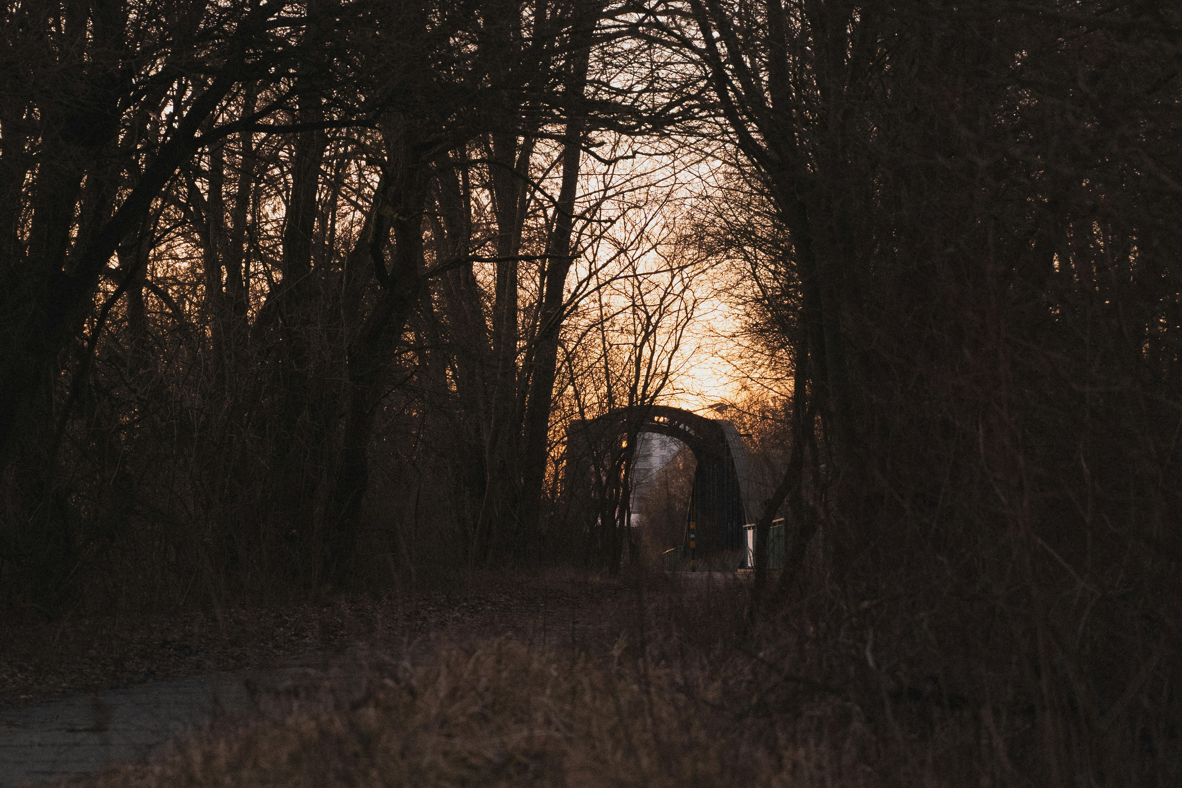 Photo by jakubklucky