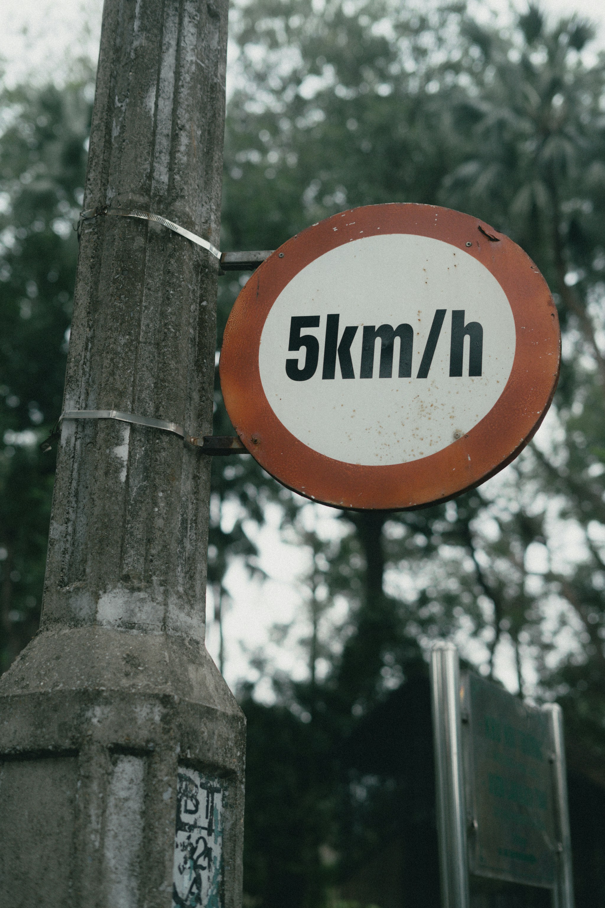 photo-1741177363829-9991f9ff1487?ixid=M3wxMjA3fDB8MXxzZWFyY2h8Nnx8aG93JTIwdG8lMjBnZXQlMjBhJTIwYmFja2xpbmslMjBmcm9tJTIwd2lraXBlZGlhfGVufDB8fHx8MTc1MTgxNTA0MHww\u0026ixlib=rb-4.1.0