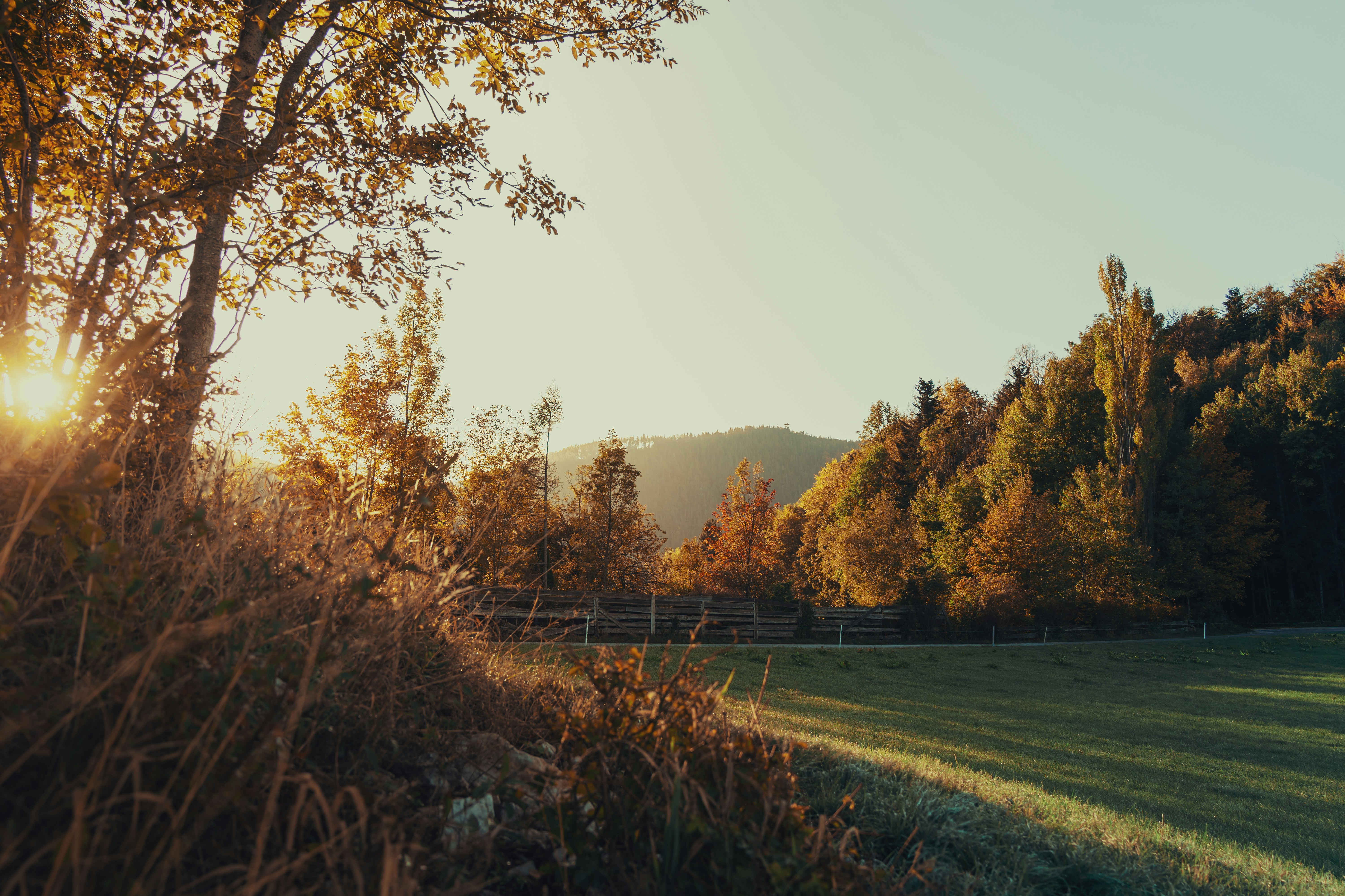 Photo by pino_rumbero