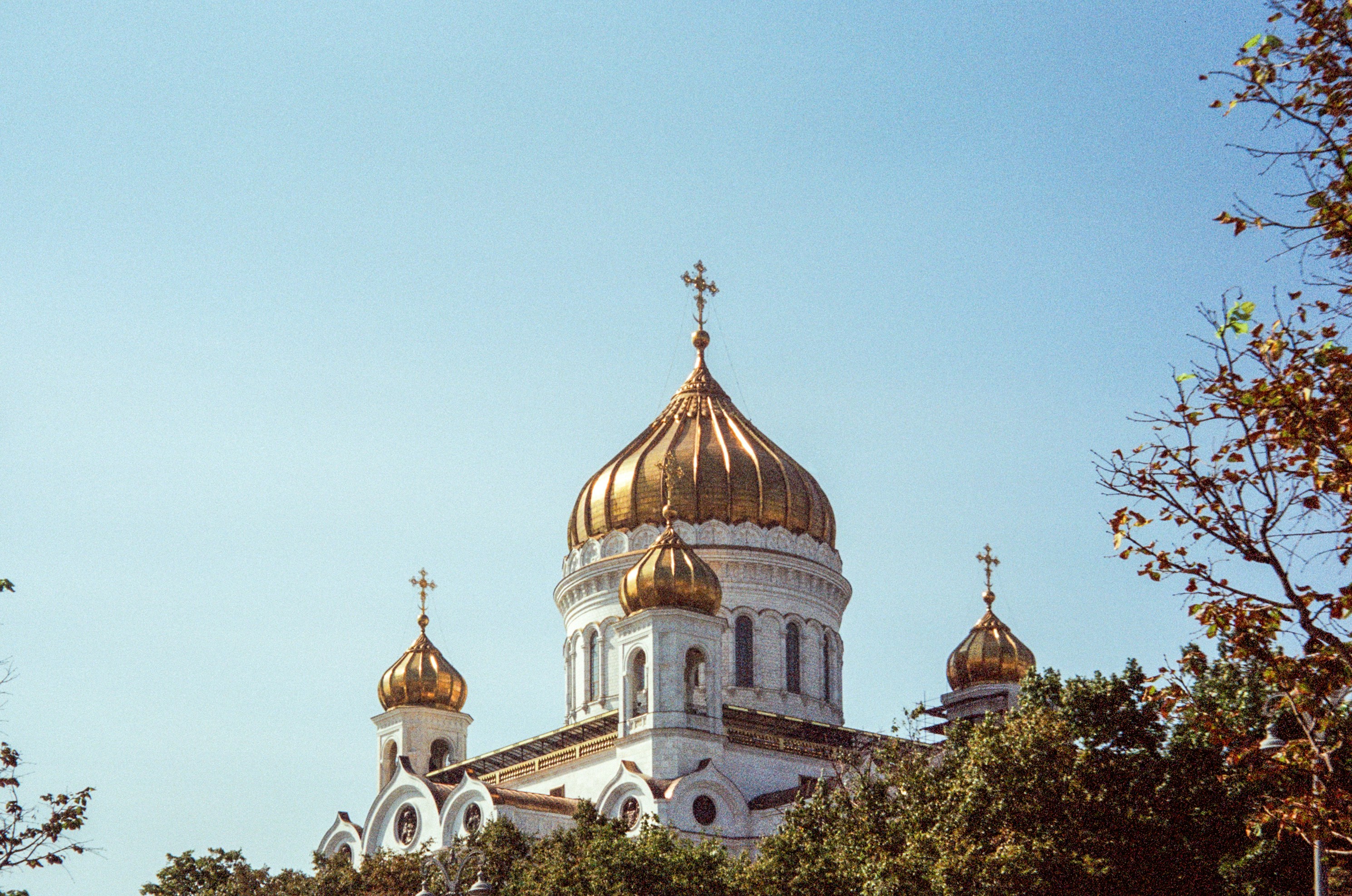 Photo by trofimova_photographer