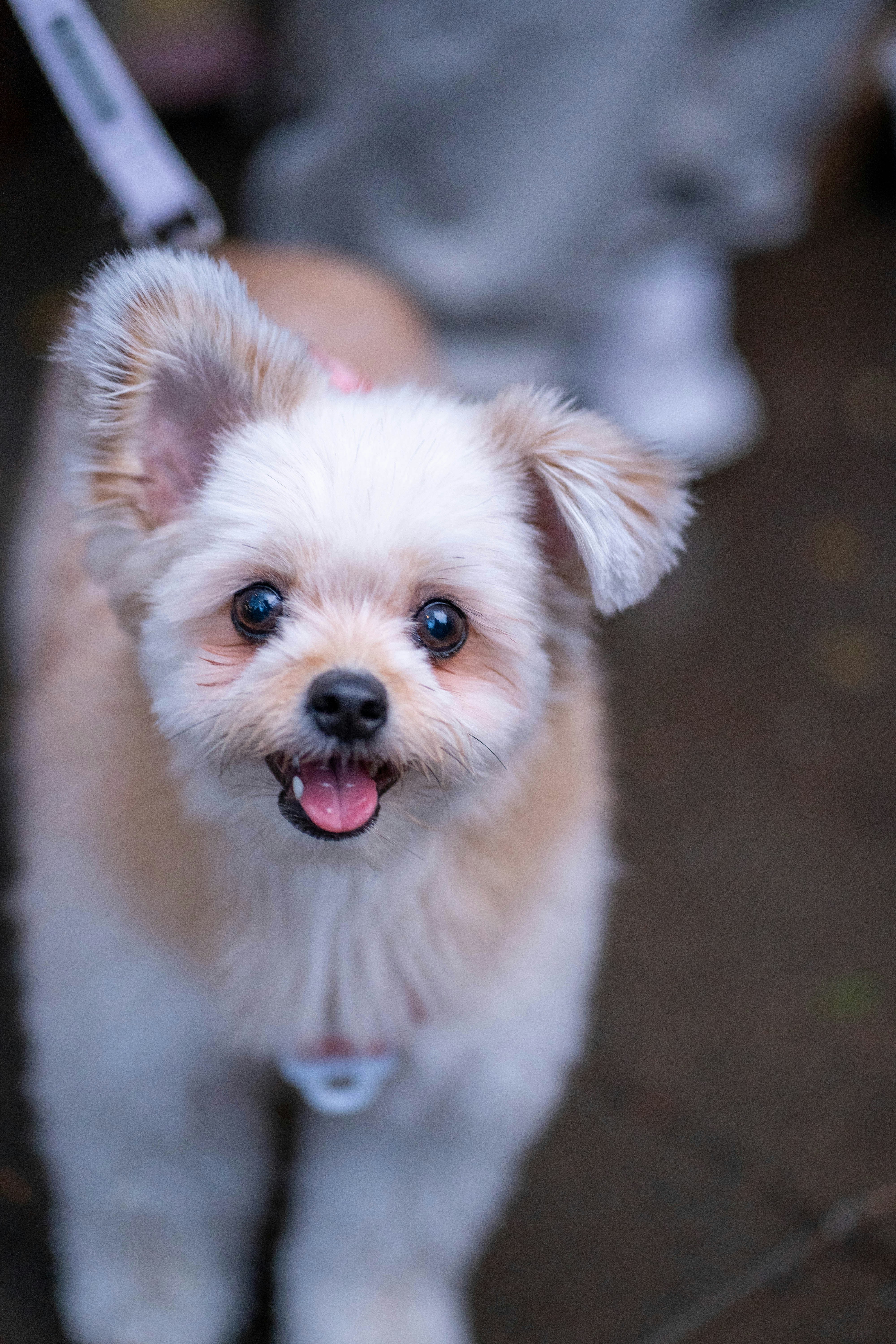 Photo by tcphotoworks