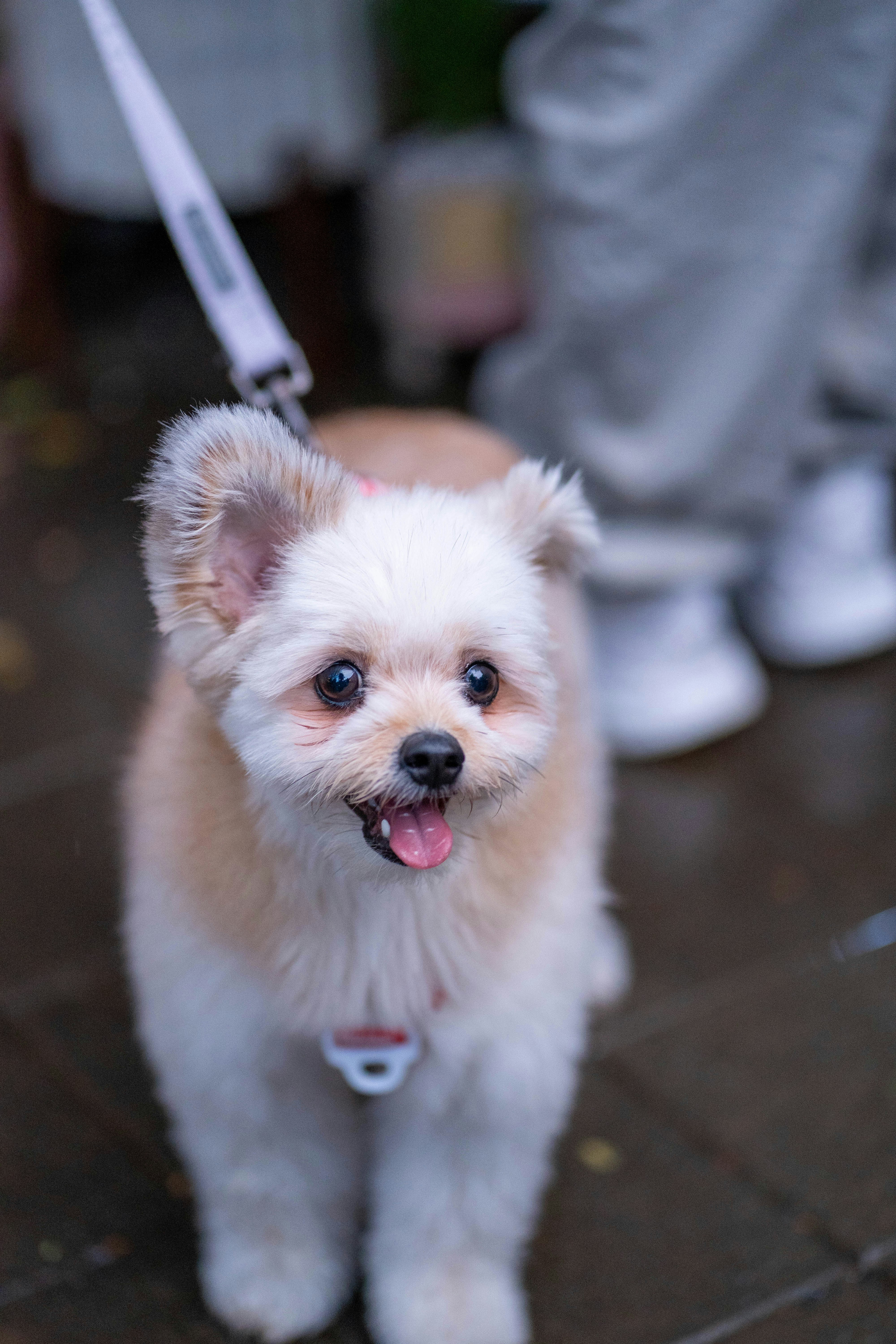 Photo by tcphotoworks