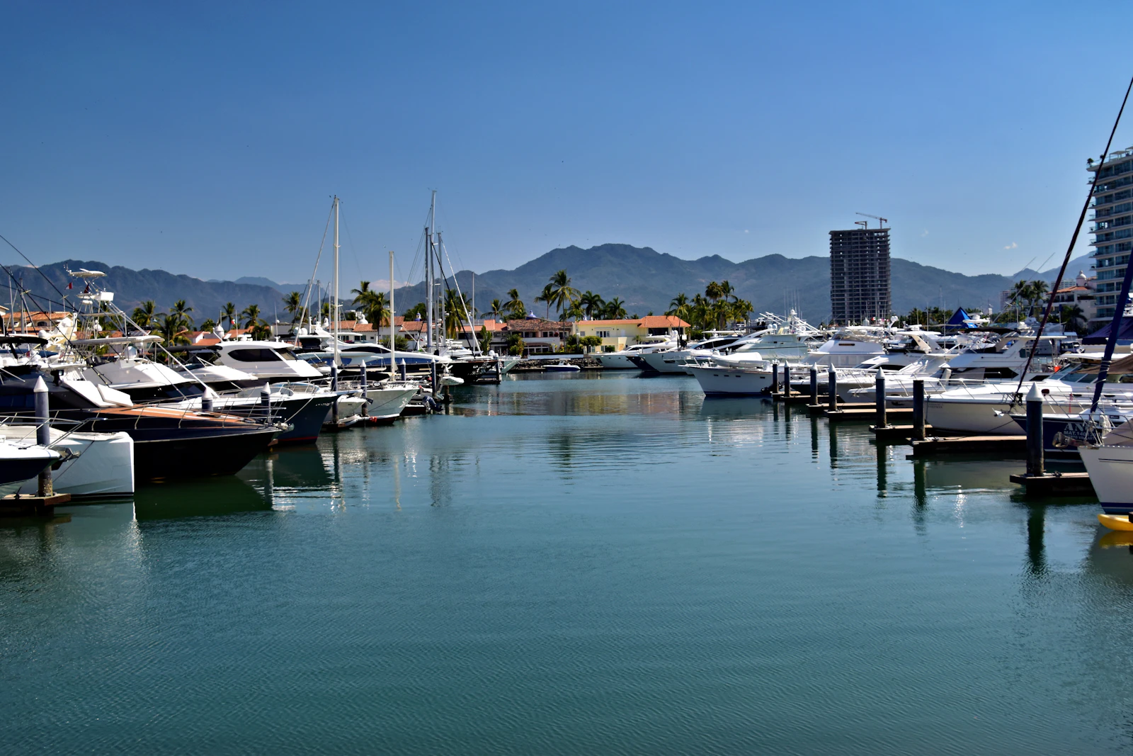 Boats docked at a marina