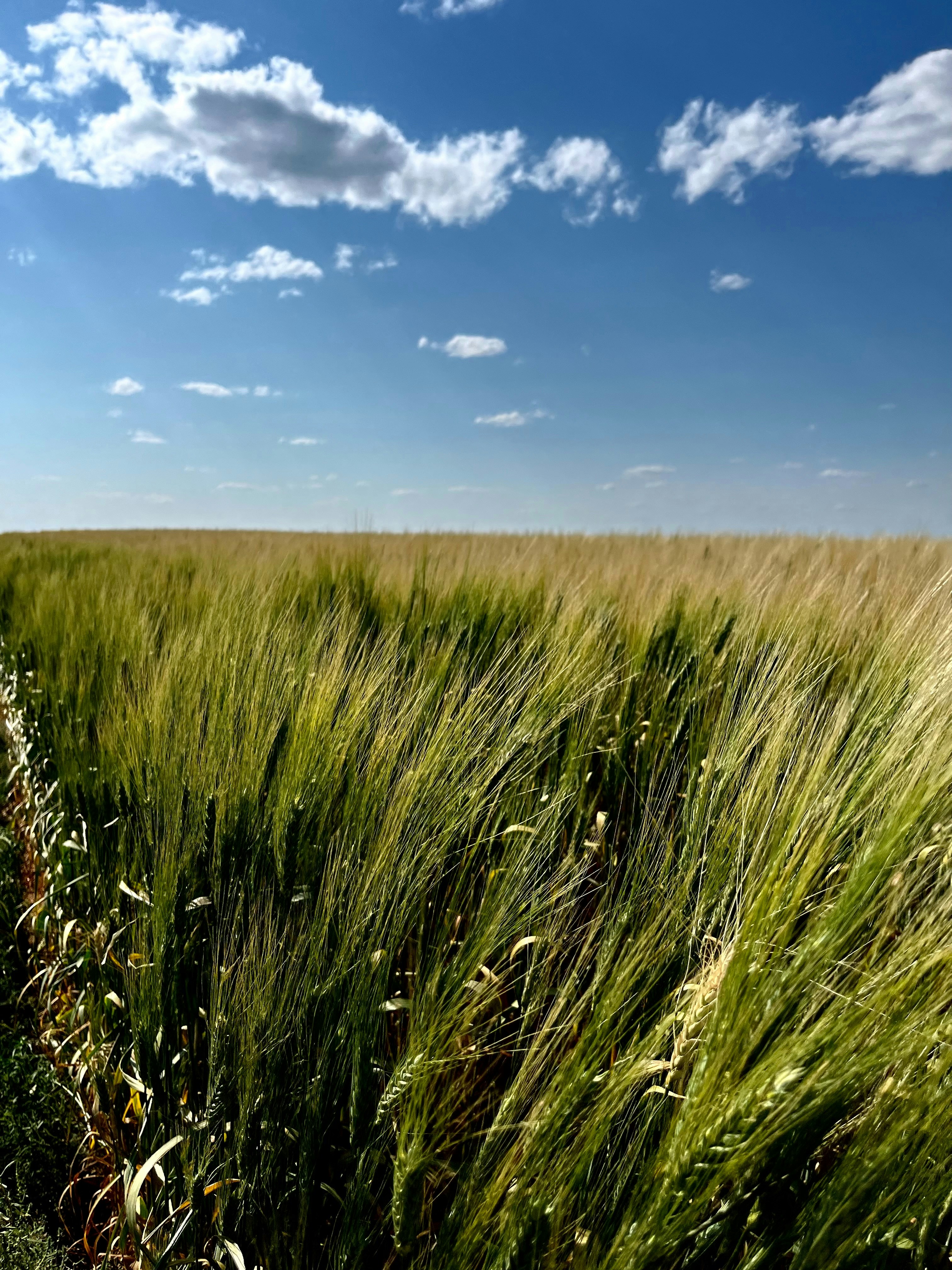 Photo by chrismacfarlane