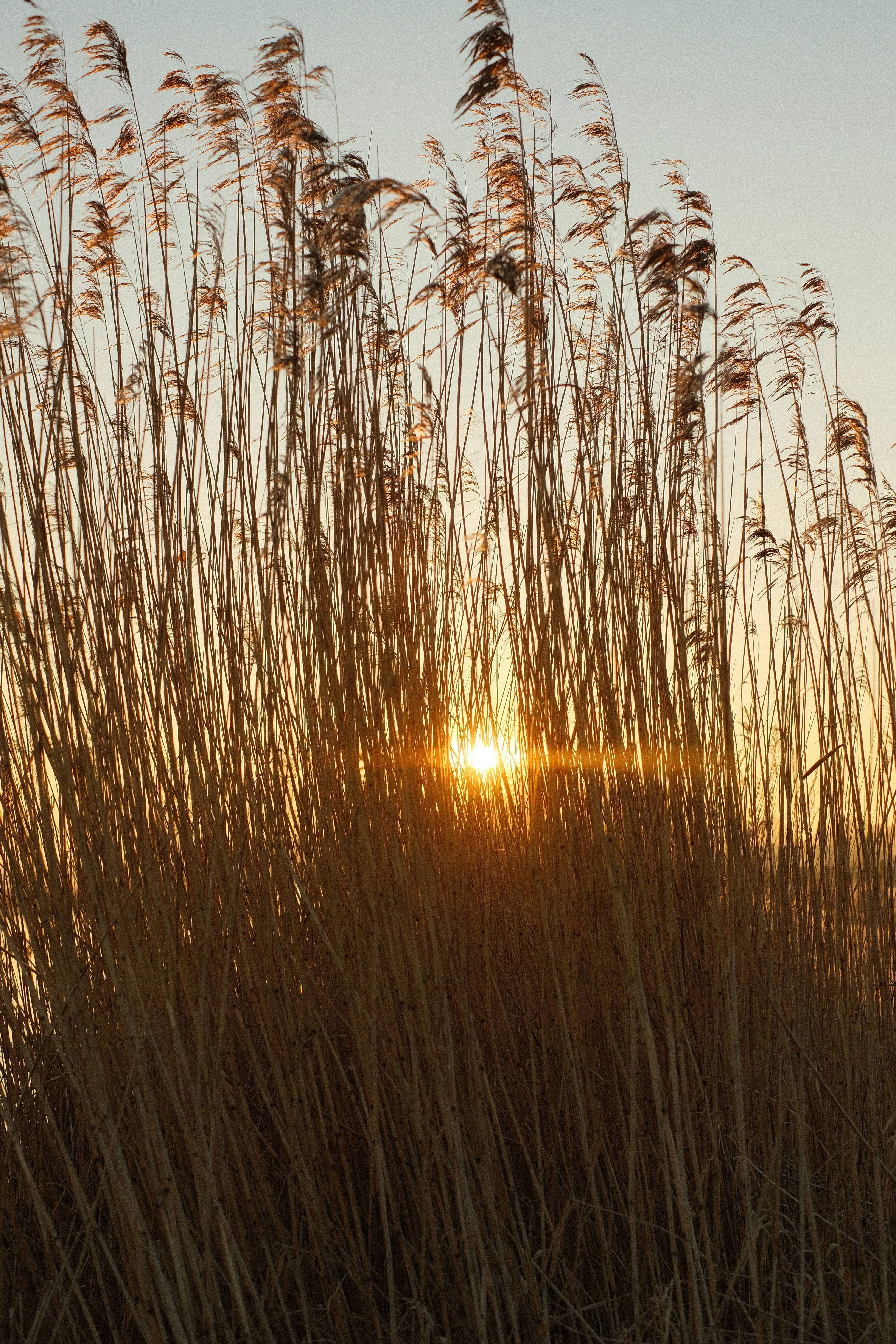 Photo by visualsbying