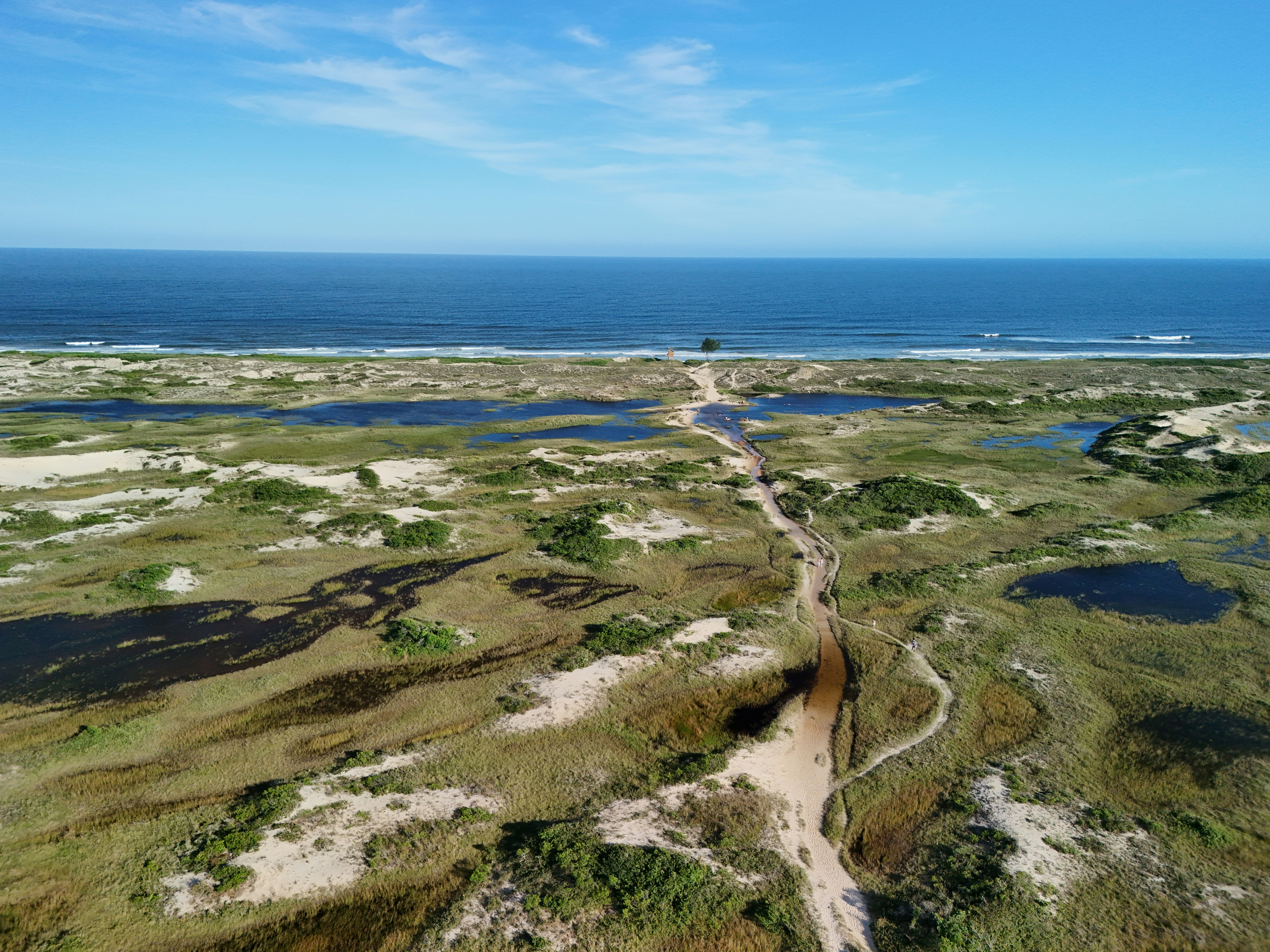 A path leads to the beach near the ocean.