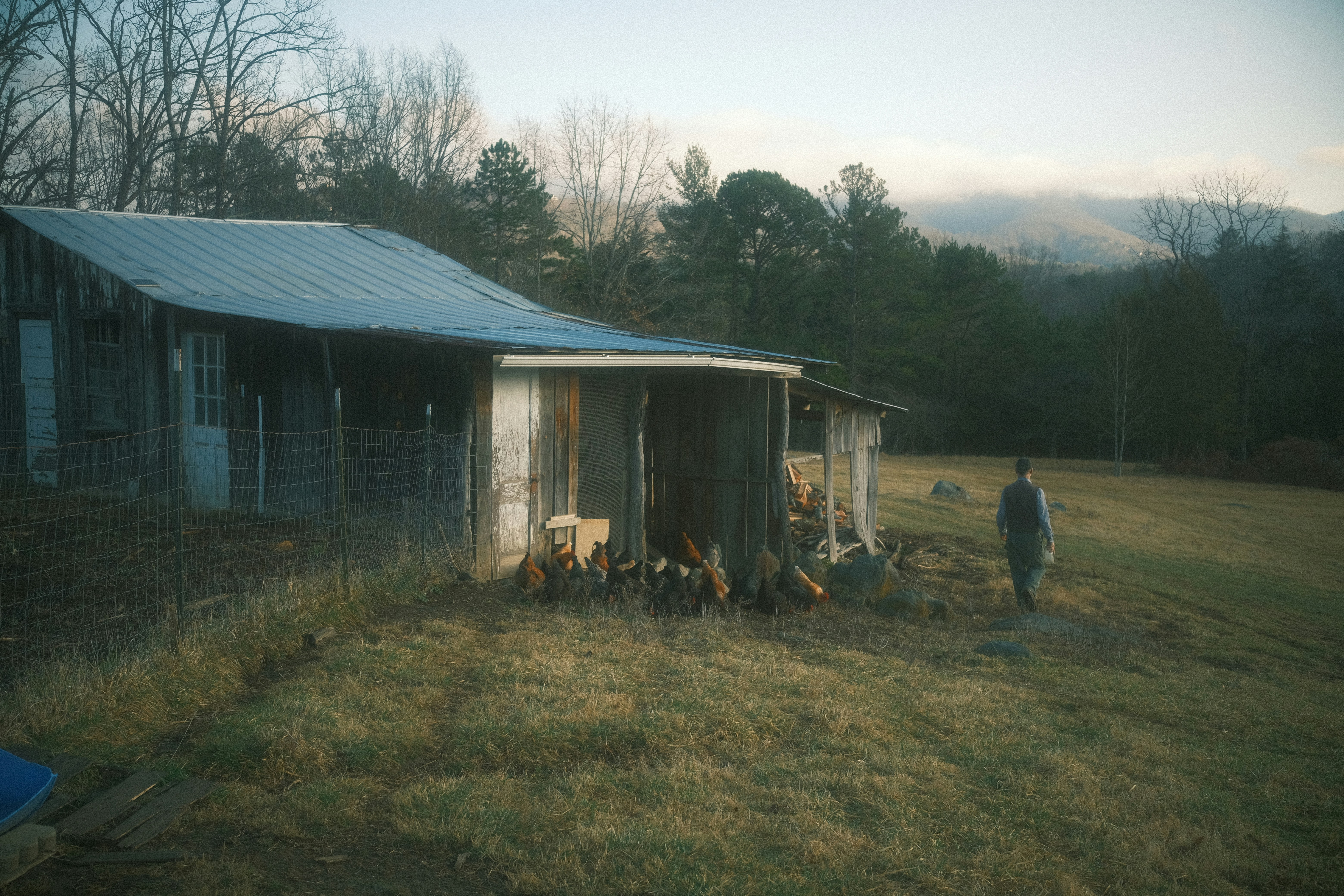Holly Shelter Game Land