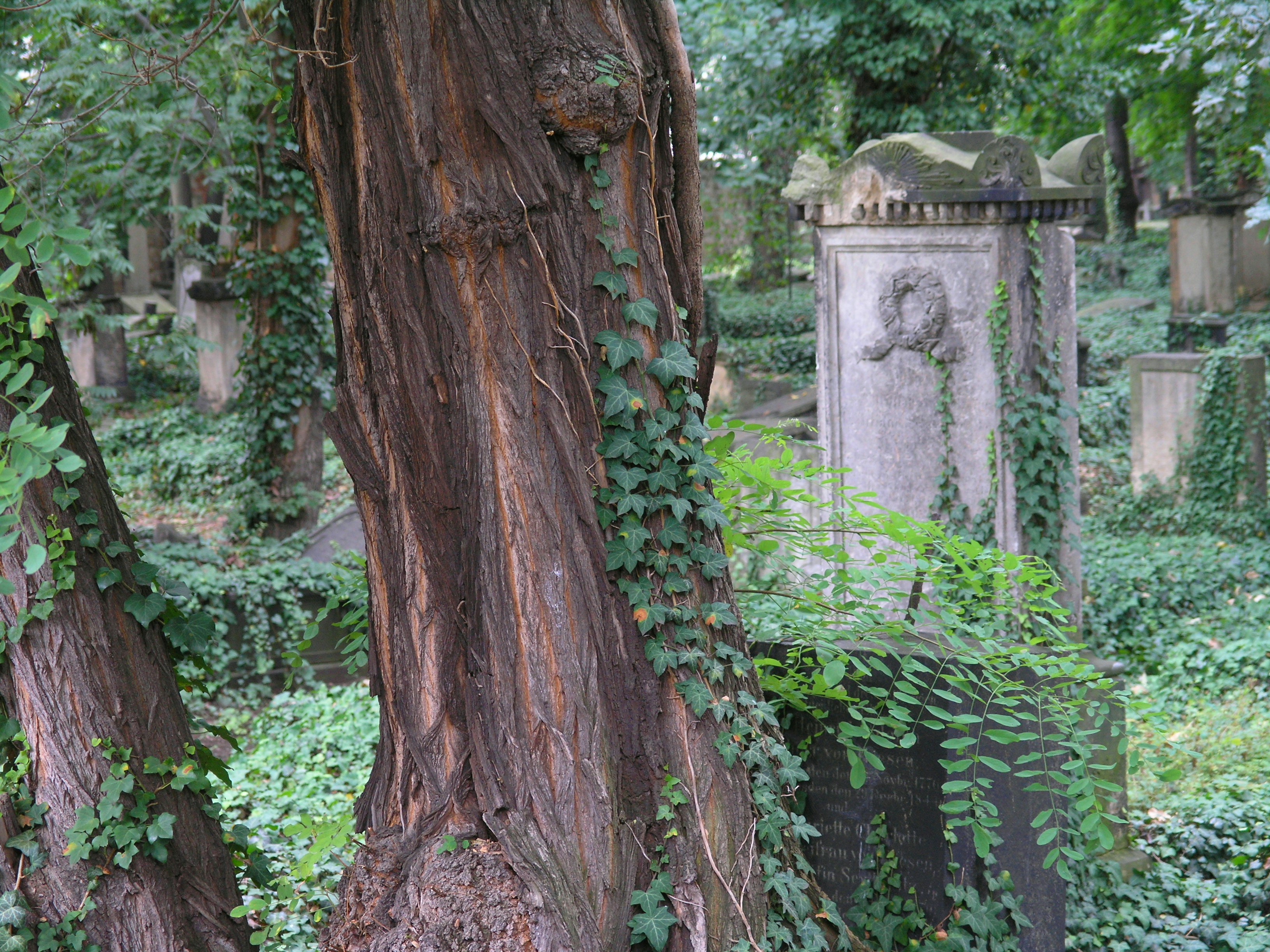 Old overgrown gravestones are visible in the cemetery.