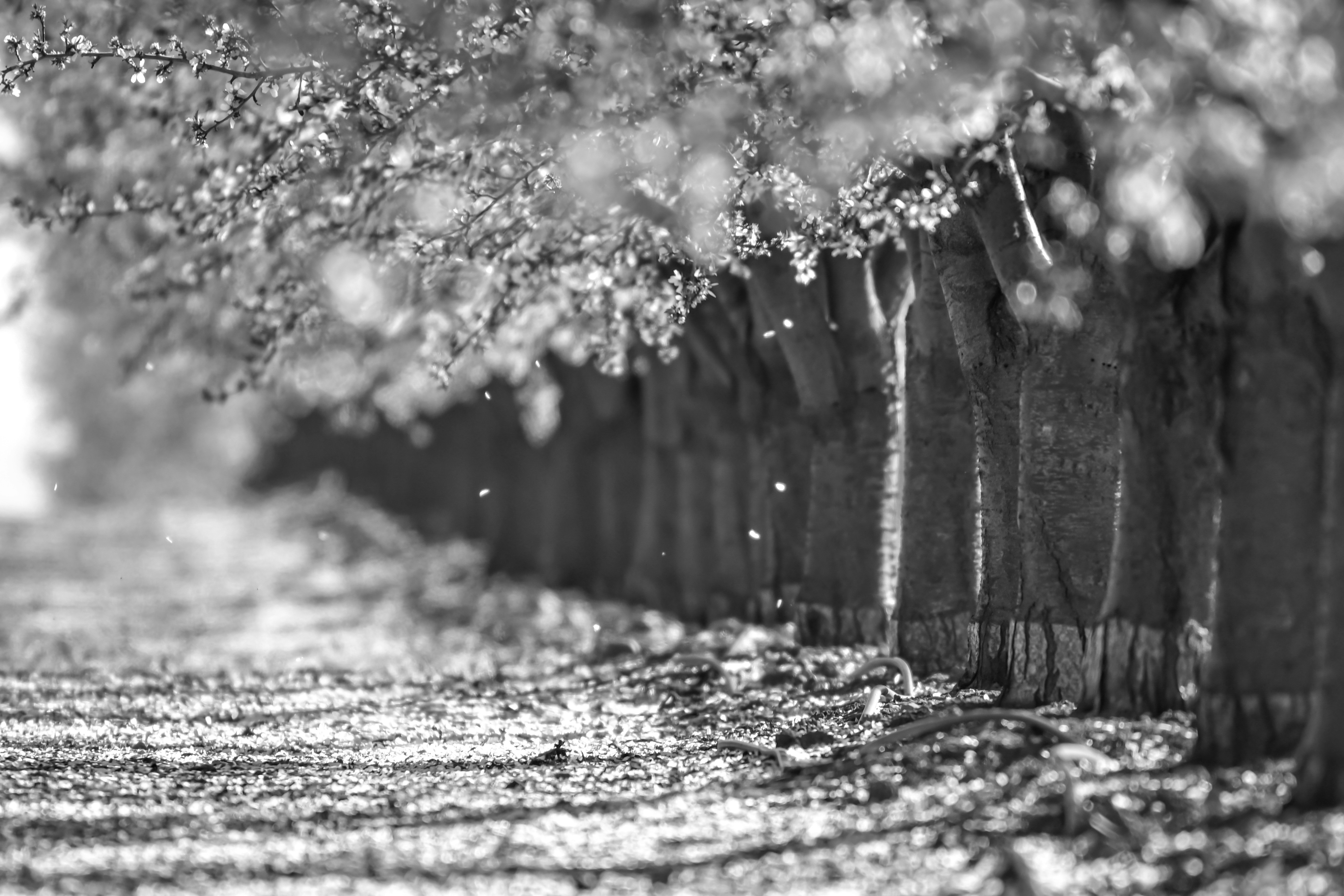 Photo by elisastonephotography