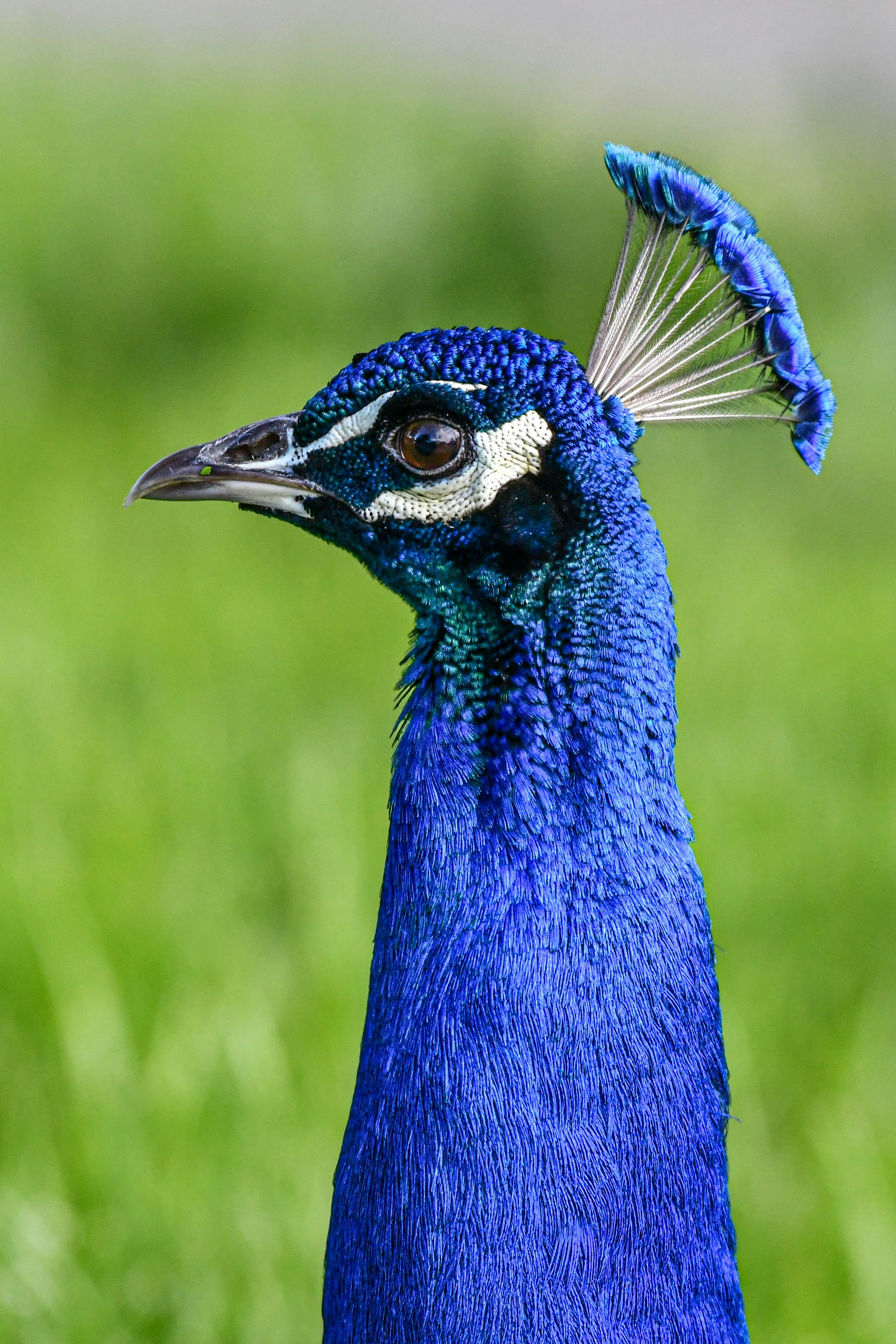 Photo by elisastonephotography