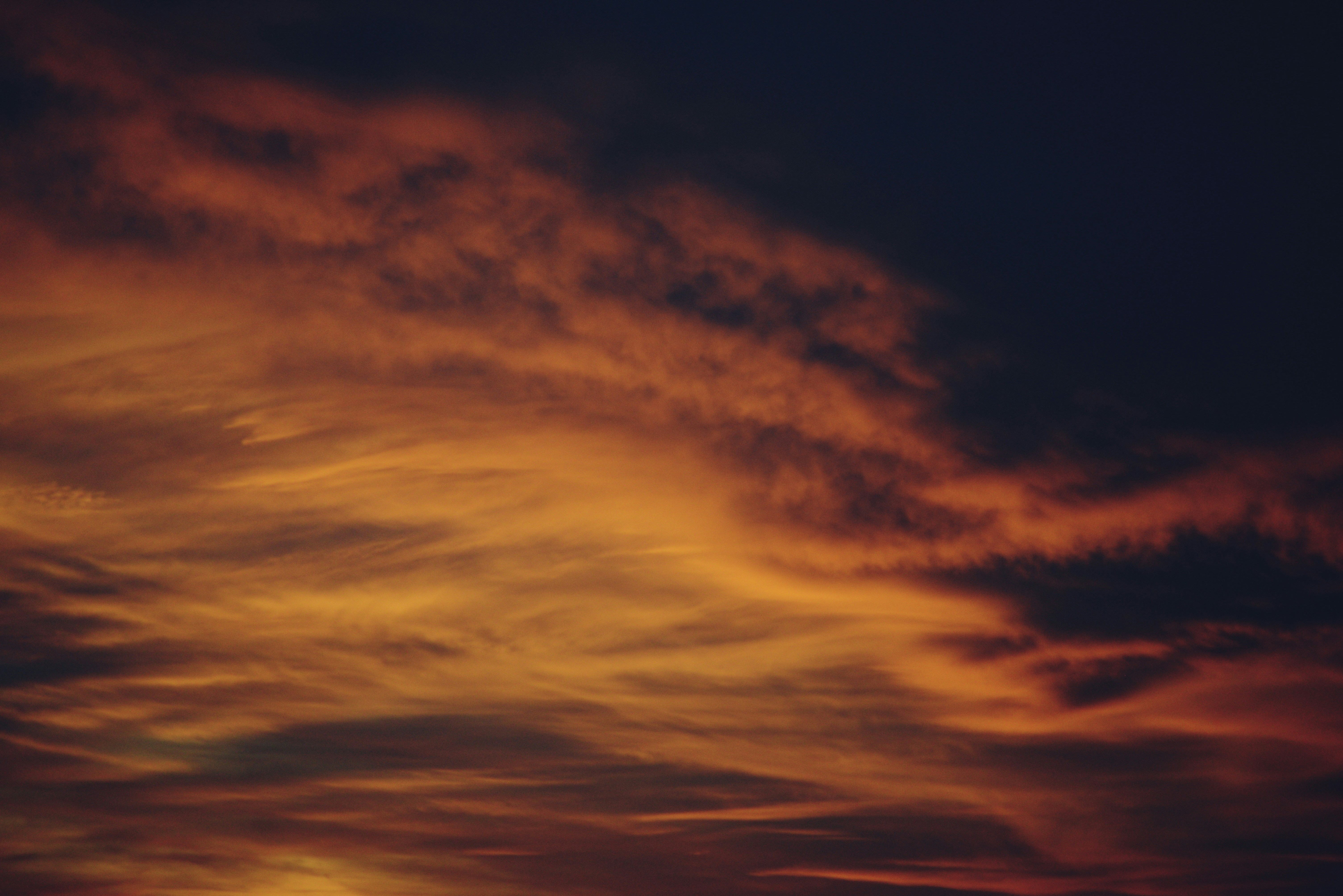 Photo by cherstve_pechivo