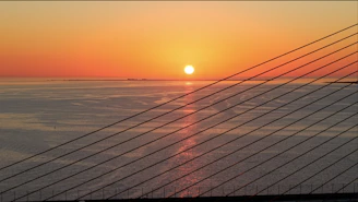 Sunset over the water with a bridge's cables.