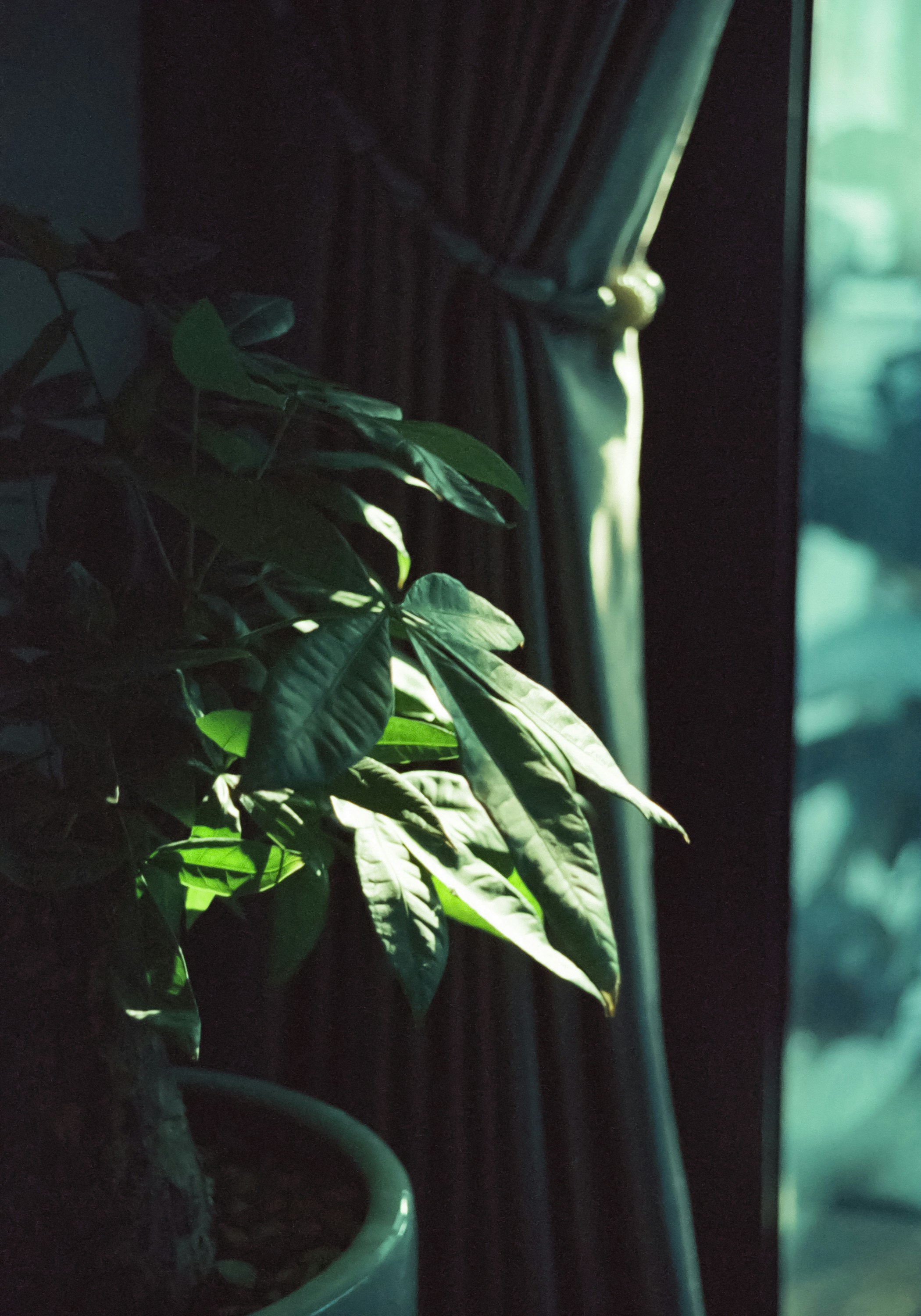 Photo by potatonorim