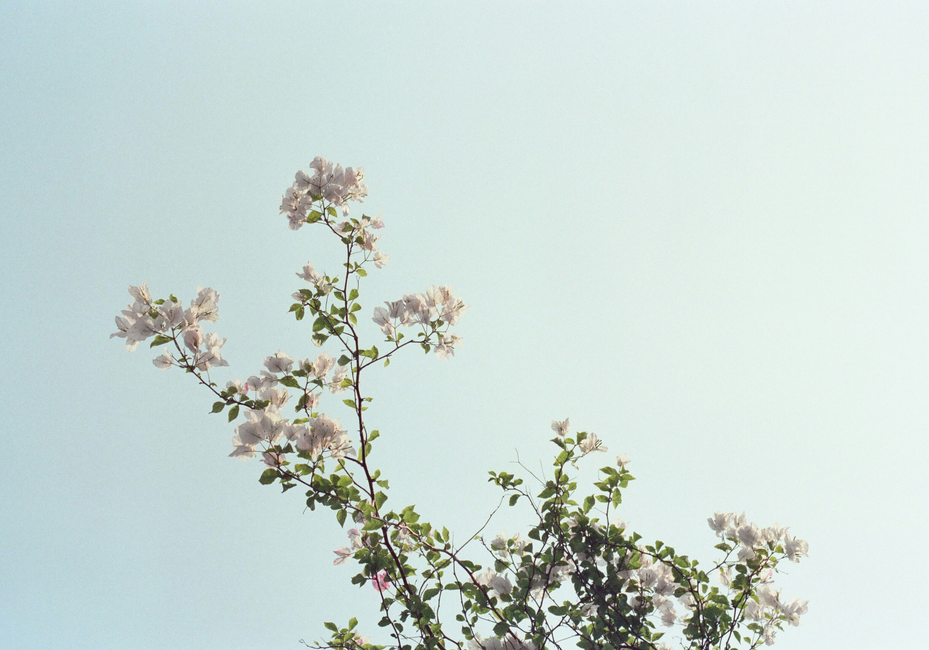 Photo by potatonorim