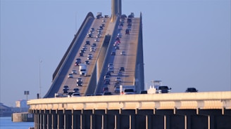 Vehicles travel across a tall, elevated bridge.