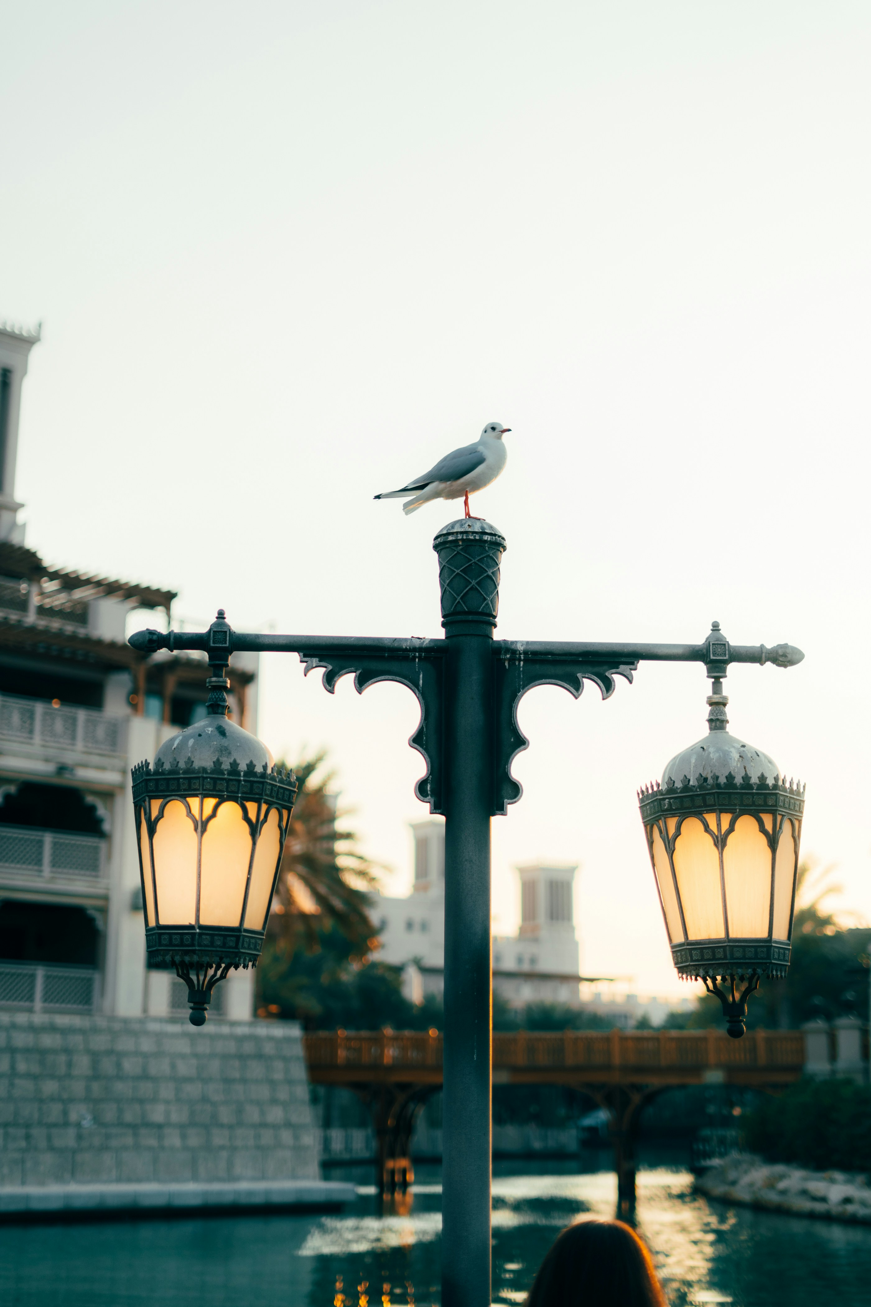 A seagull sits atop a decorative street lamp.