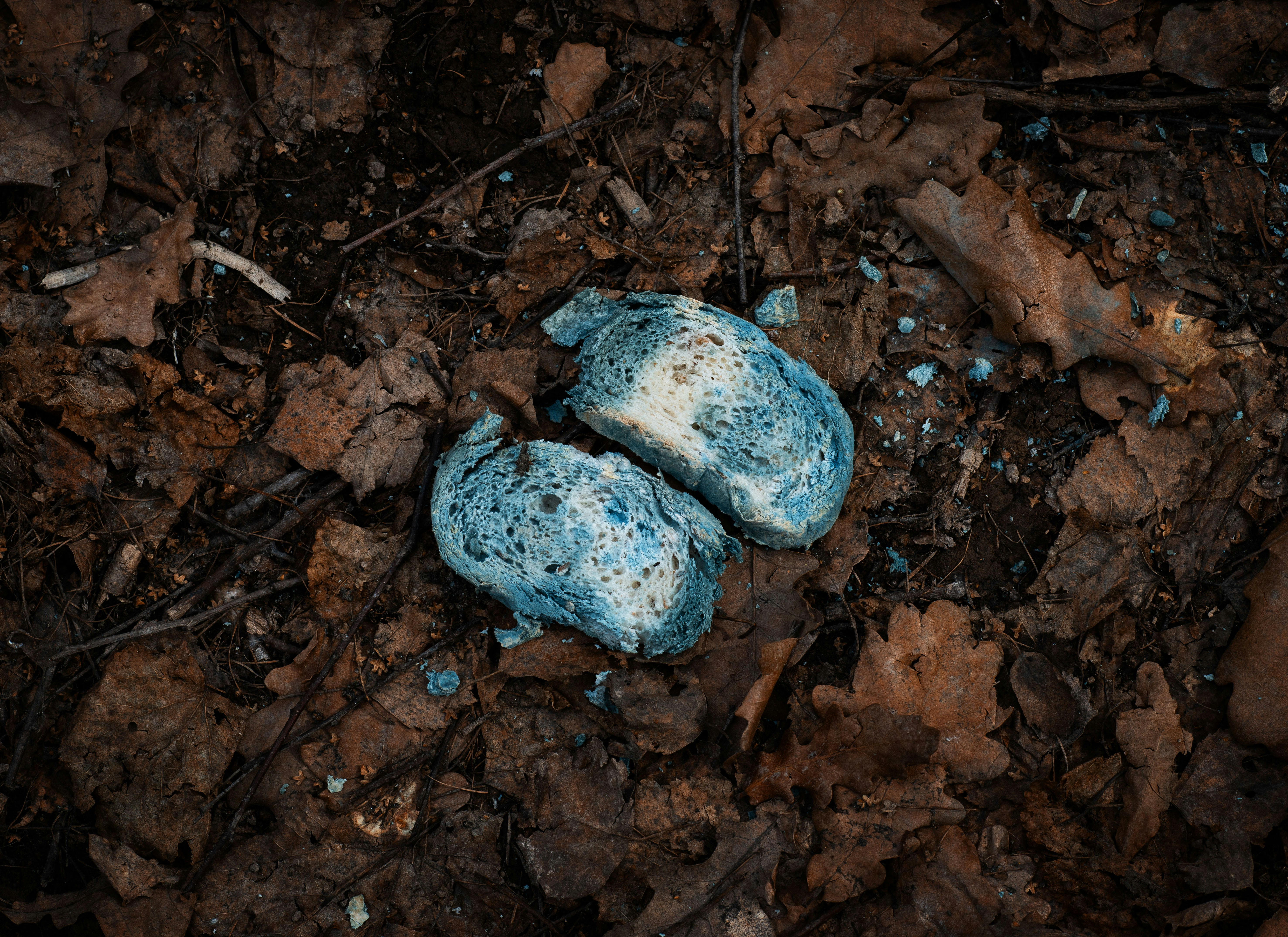 Caldo de cáscaras de huevo para raíces fuertes