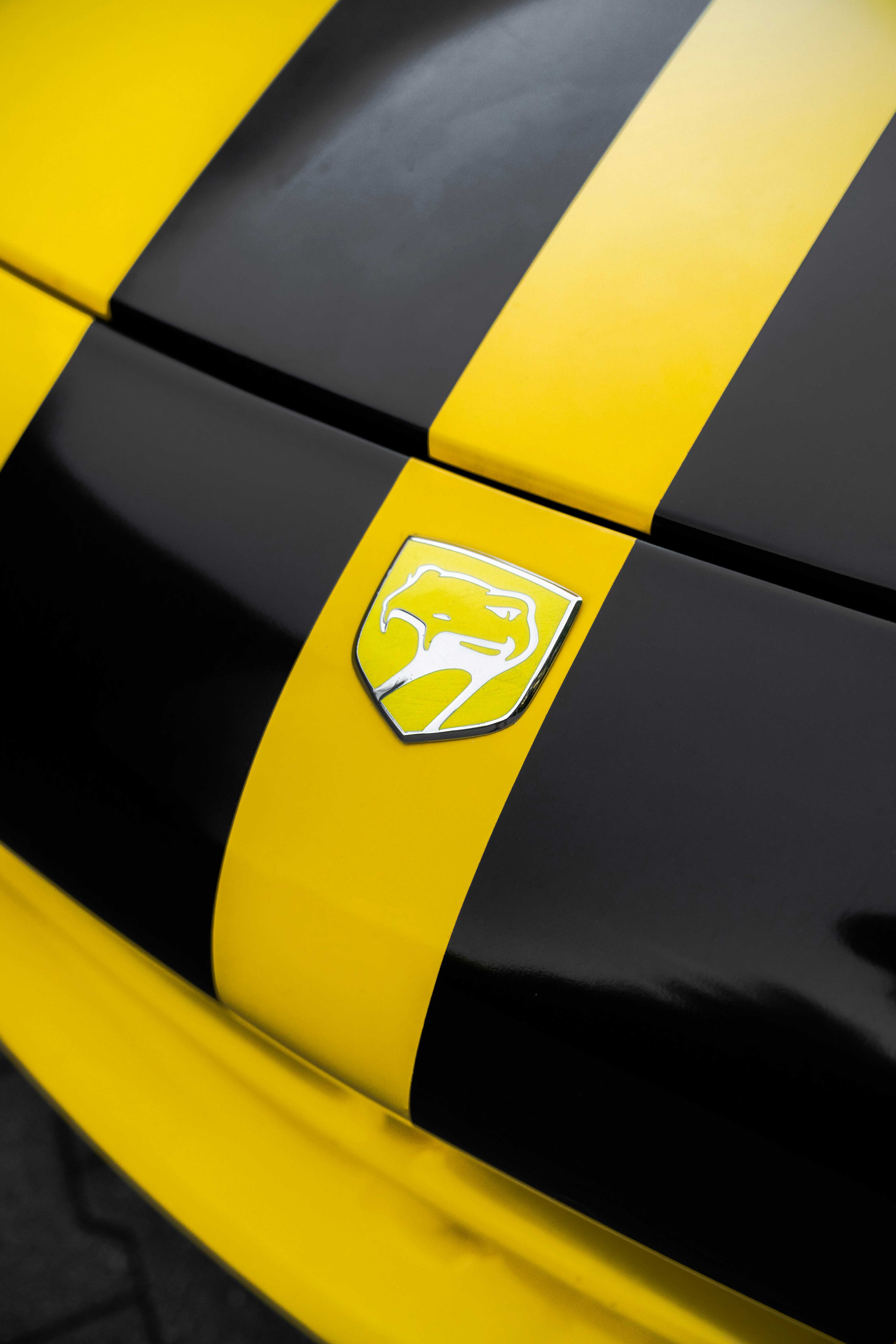 Dodge viper's hood with iconic racing stripes.