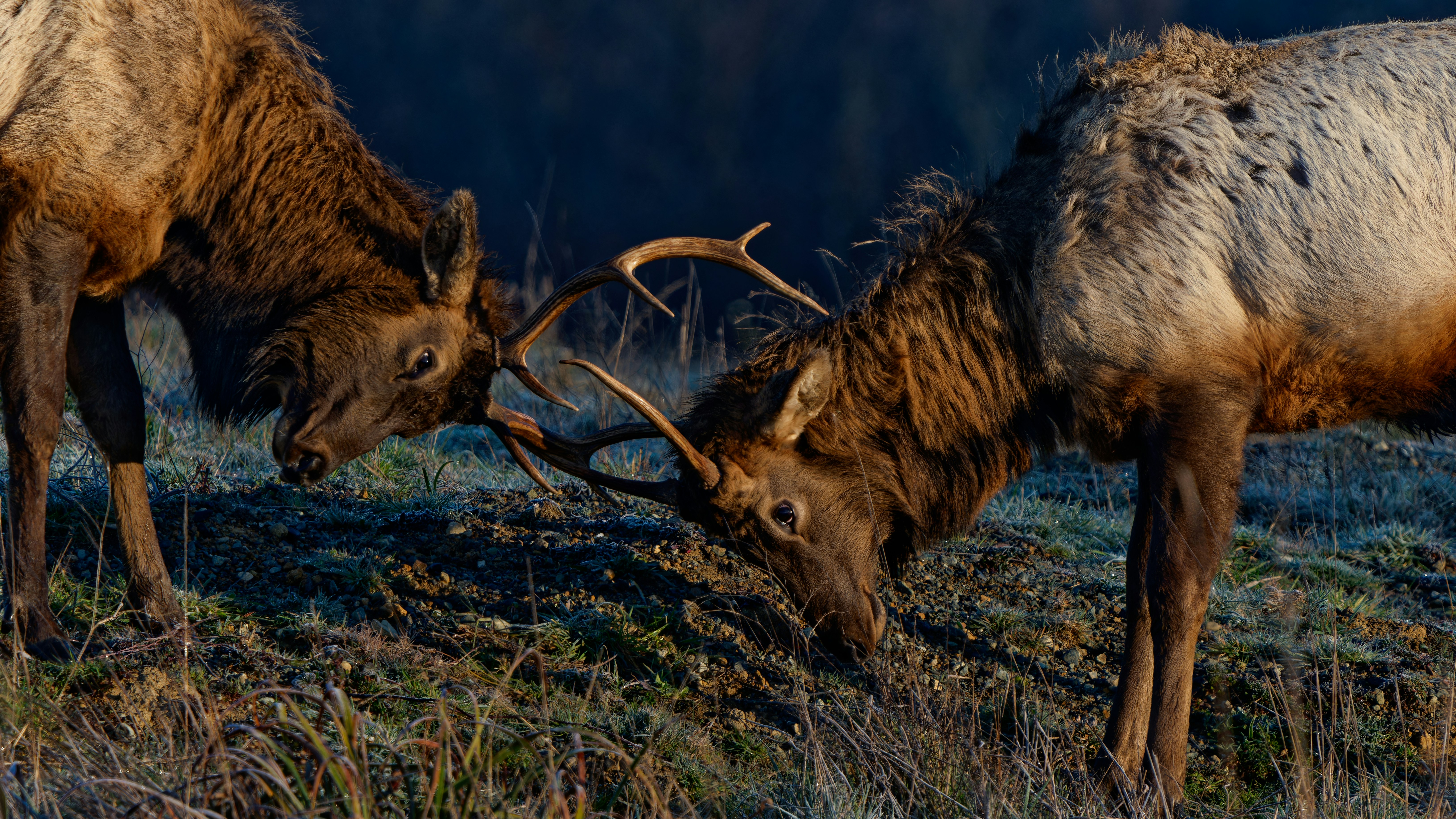 Photo by patrickbigelow_zoom_in