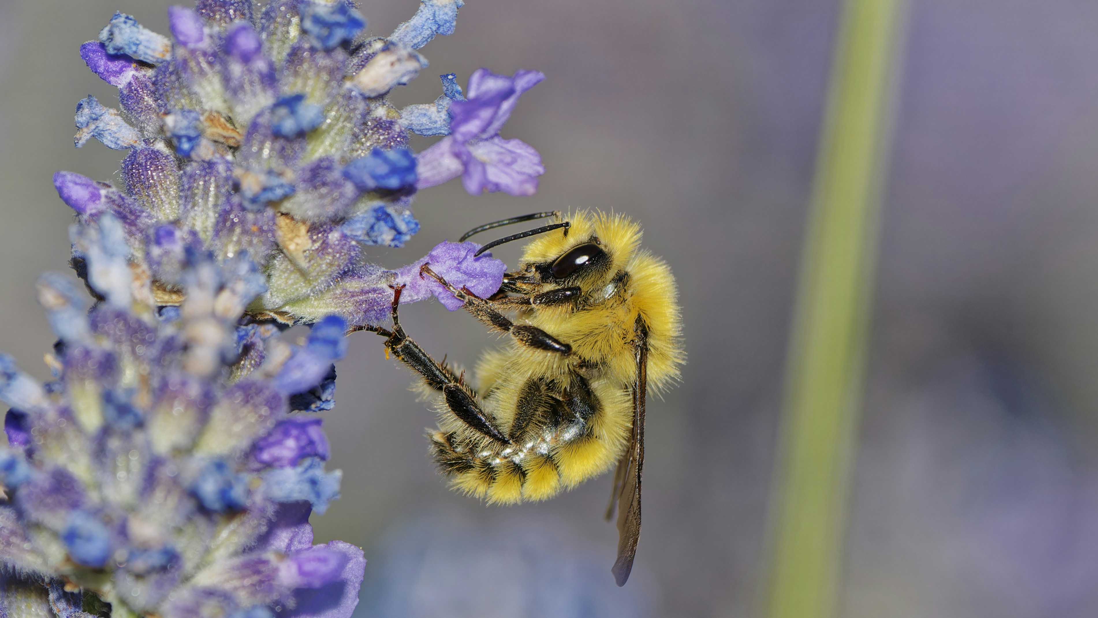 Photo by patrickbigelow_zoom_in