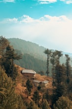 Kufri