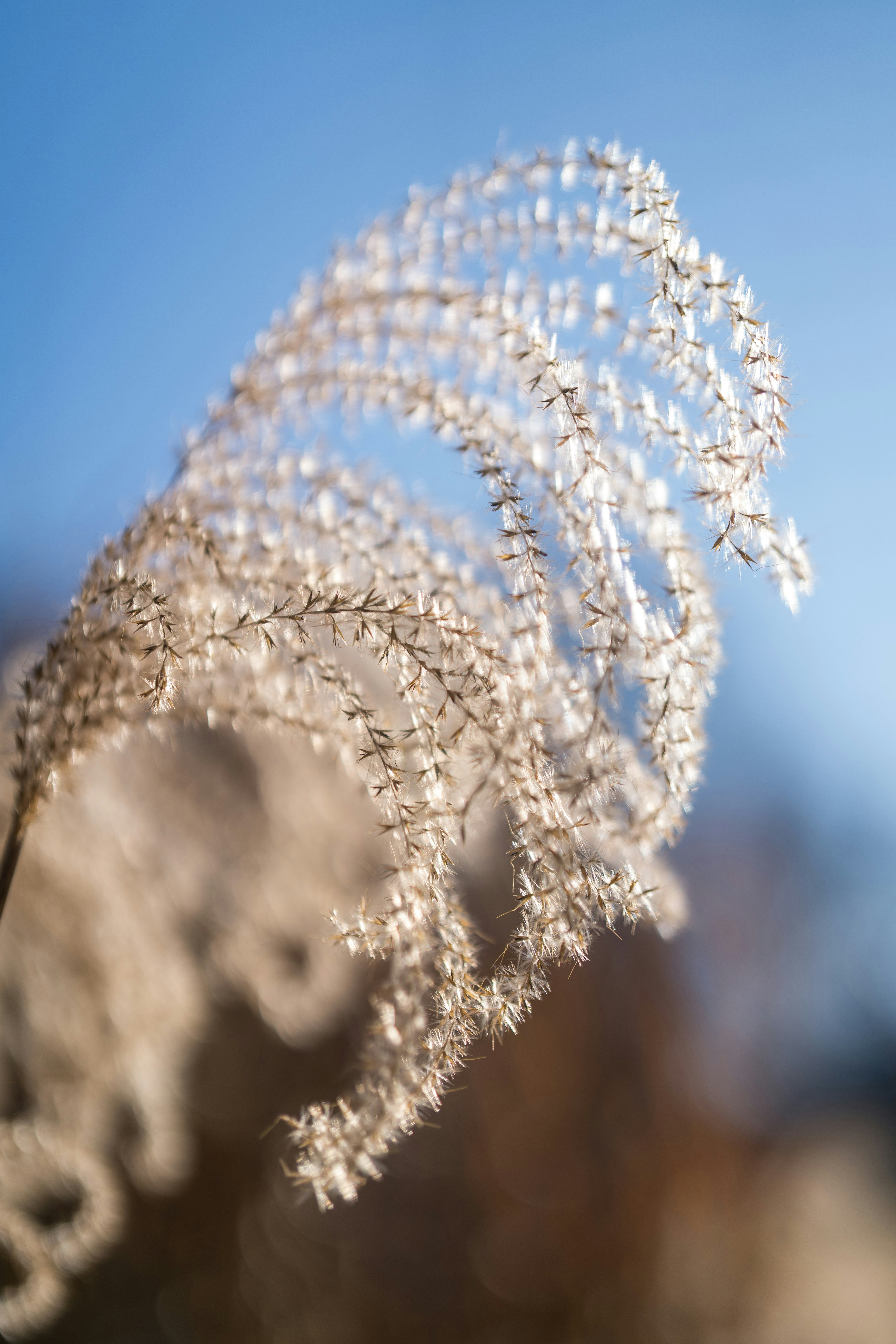 Photo by bangscreative