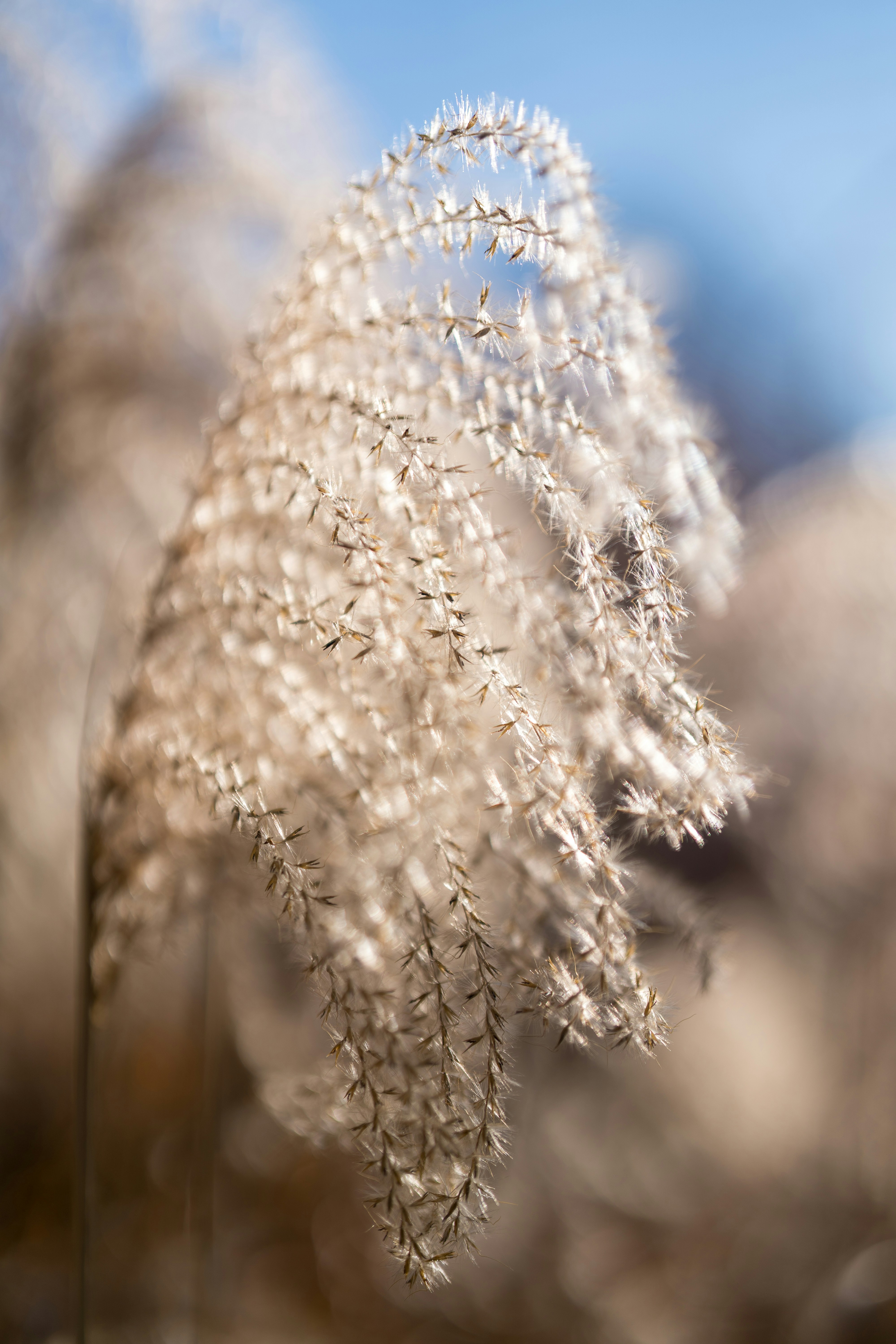 Photo by bangscreative