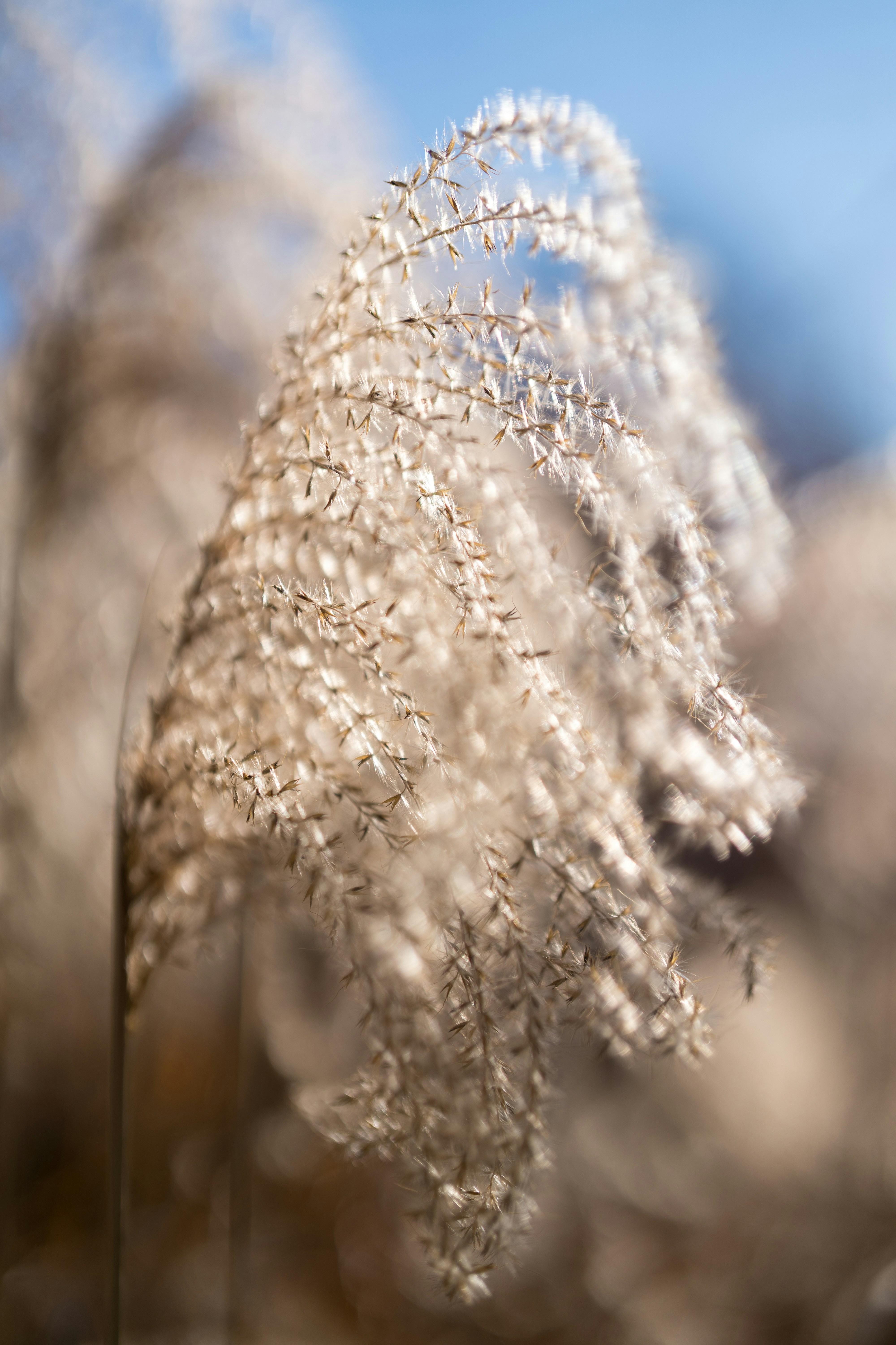 Photo by bangscreative