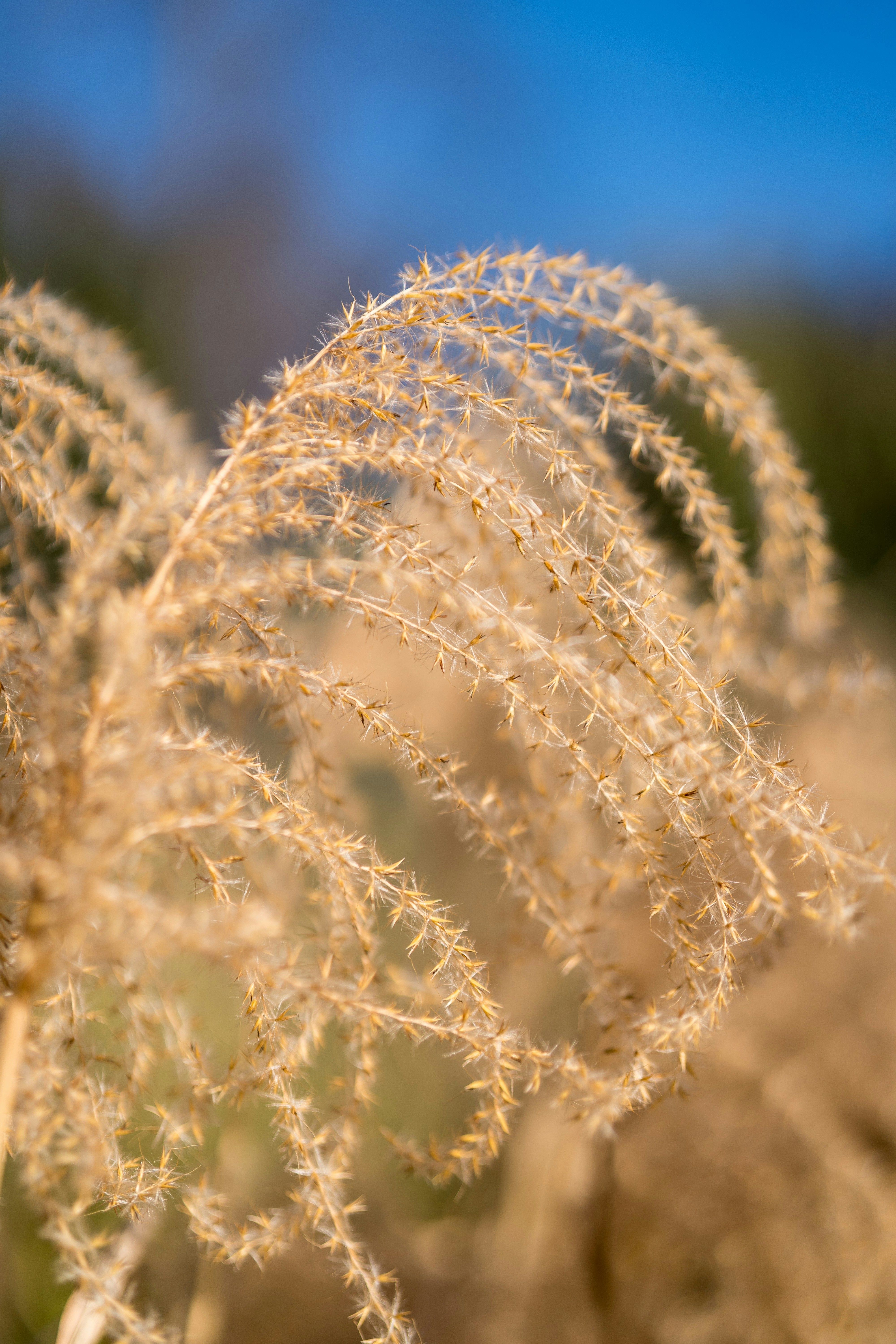 Photo by bangscreative