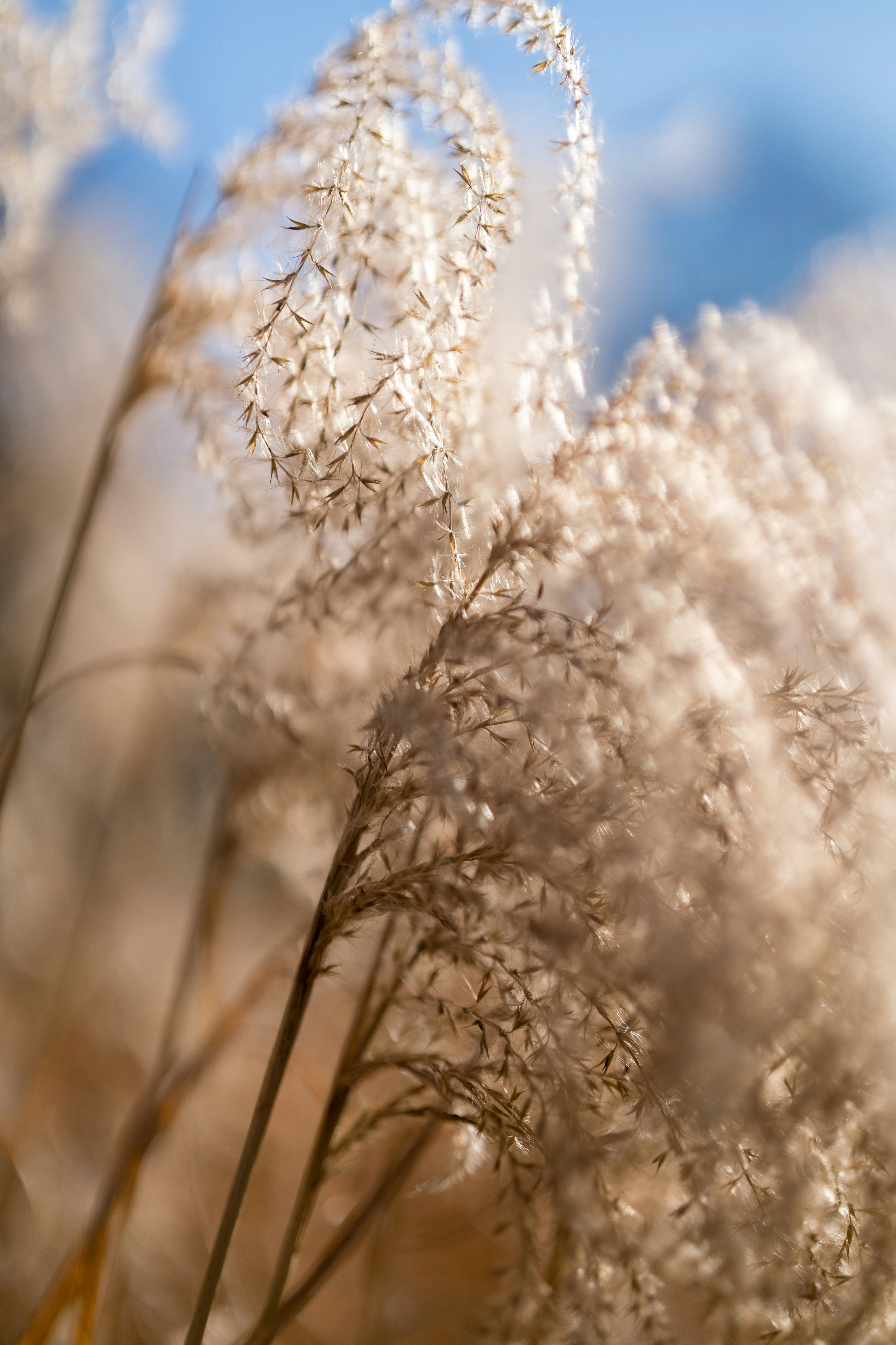 Photo by bangscreative