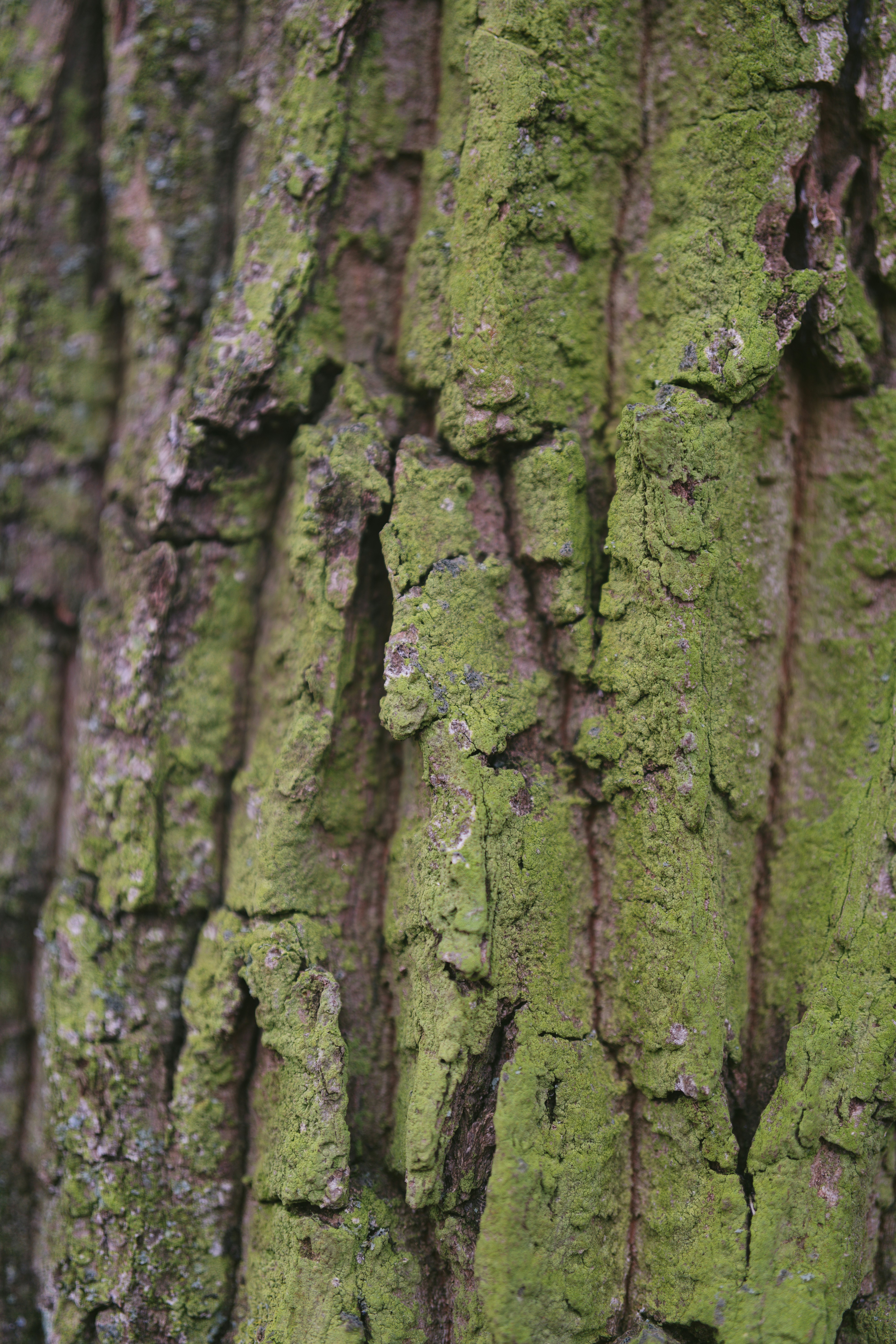 Photo by bangscreative