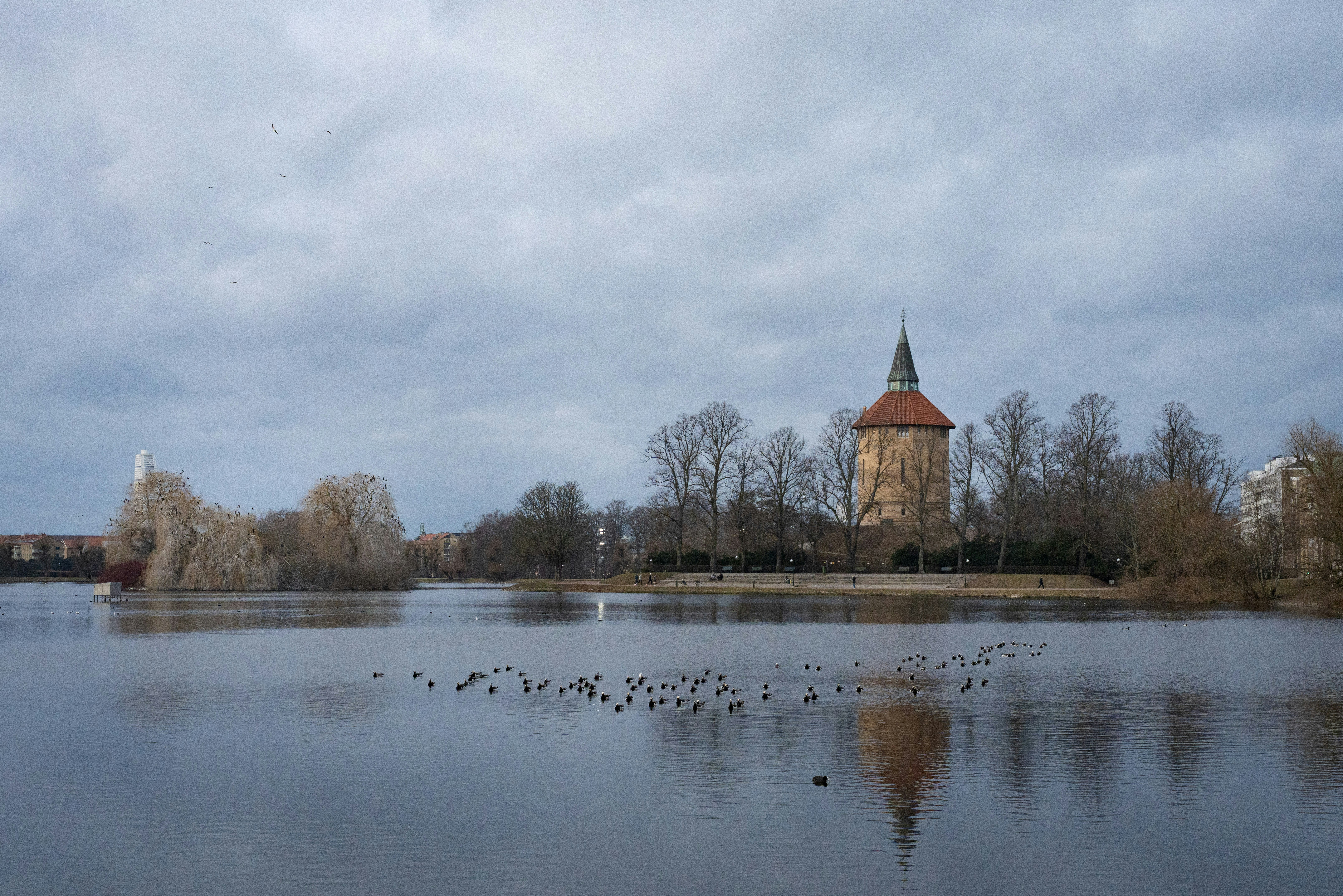 Photo by sorinbasangeac