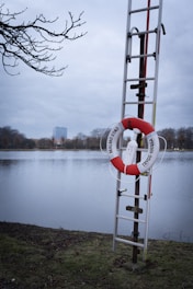 Life ring and ladder stand ready by the water.