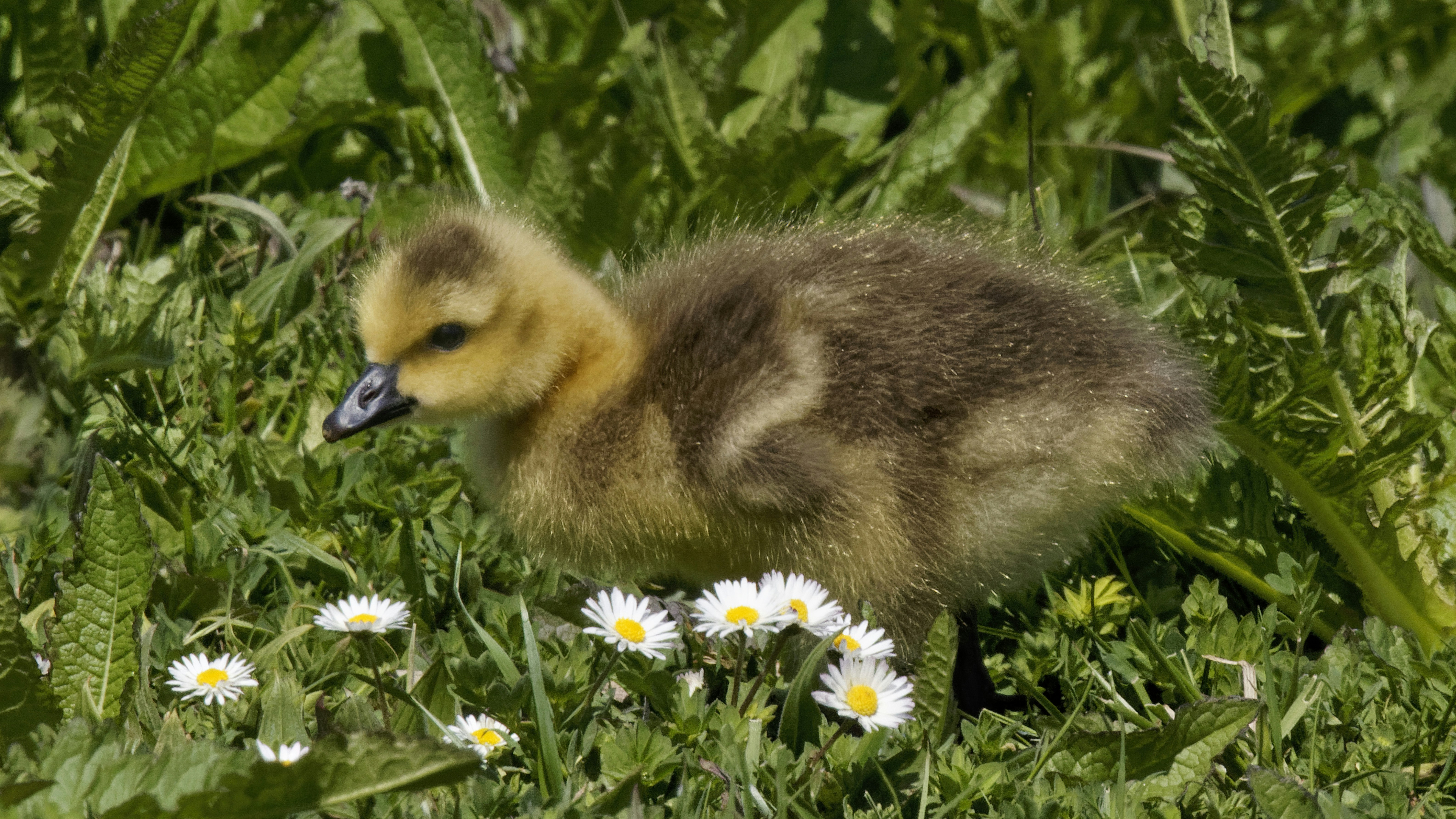 Photo by patrickbigelow_zoom_in