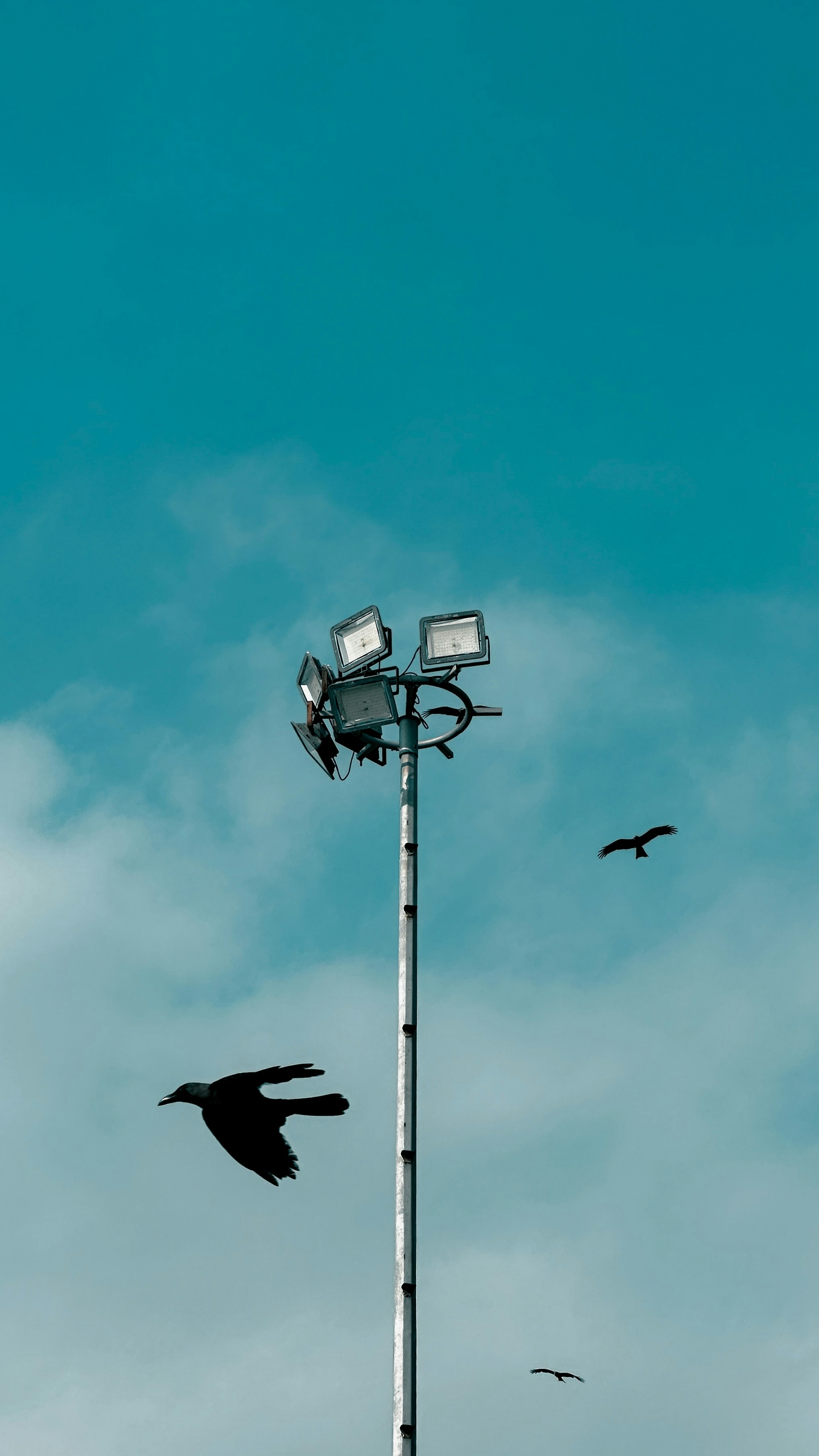 Photo by worldofsanjai