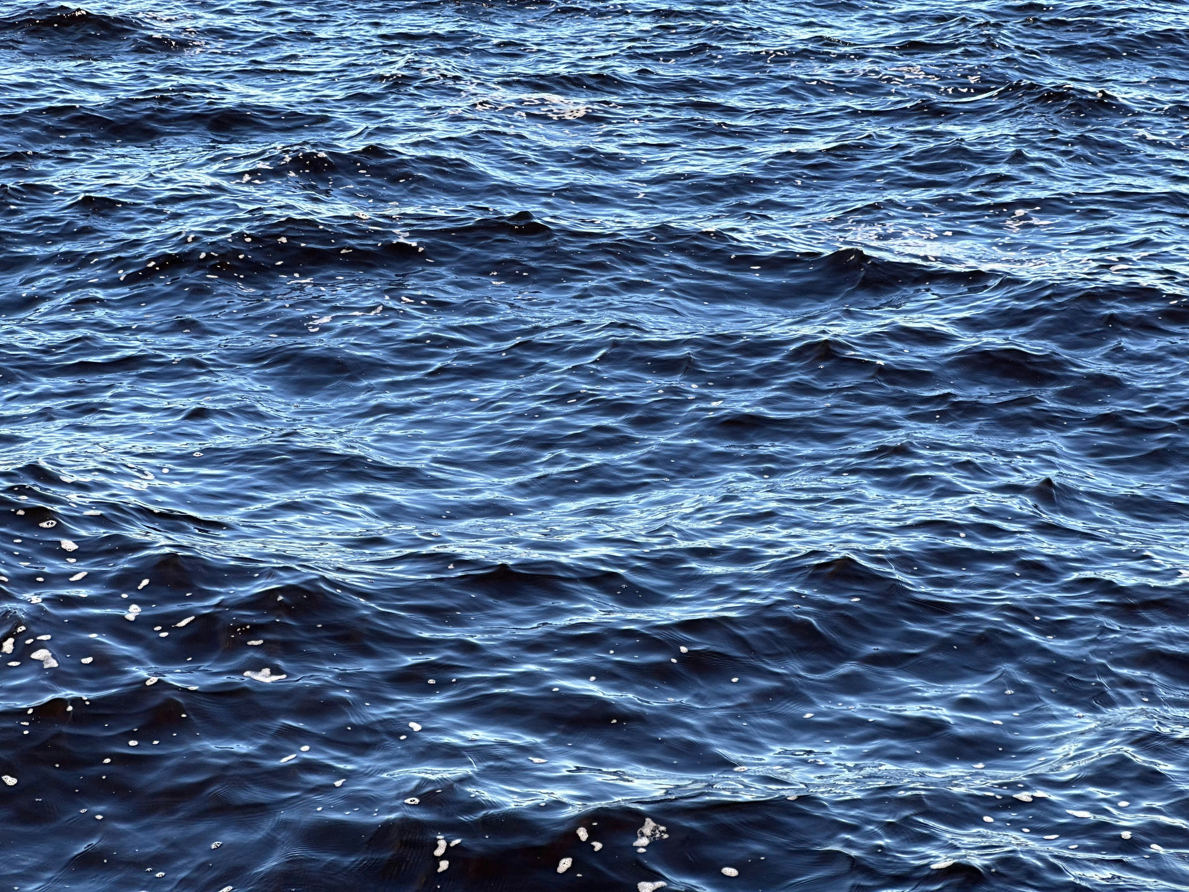 Blue water with small waves is visible.