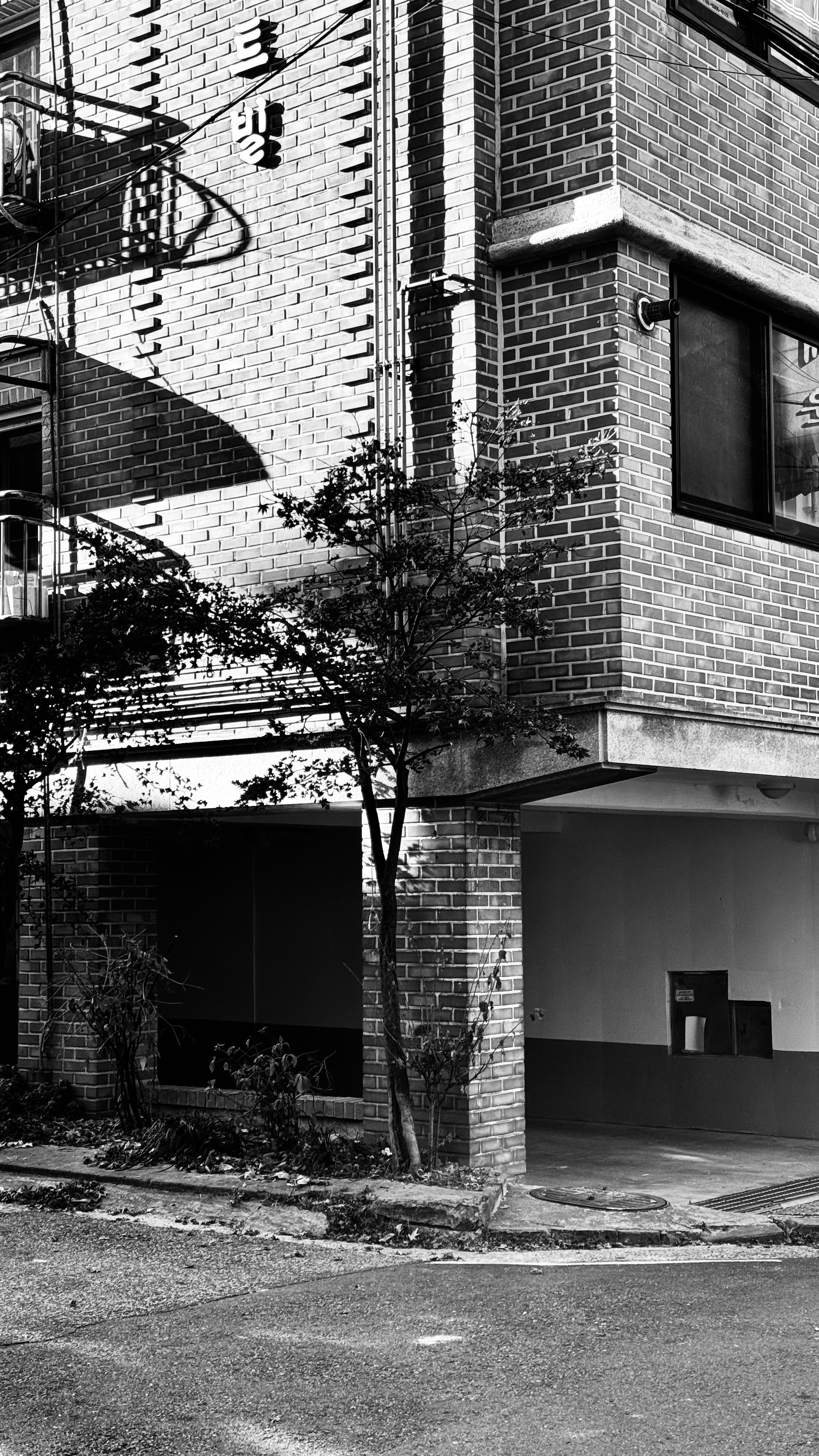 Photo by cinnamondolce