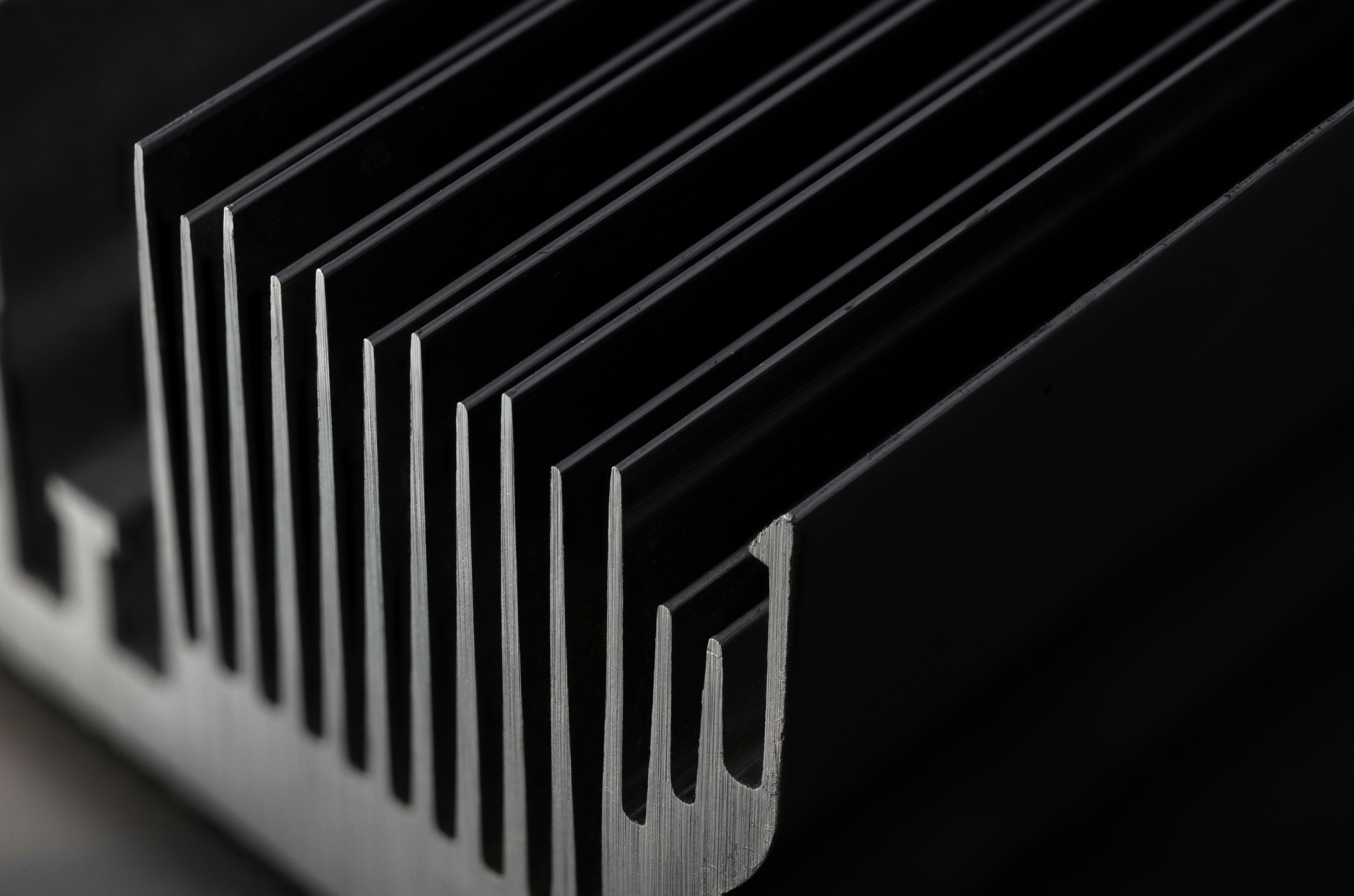 Photo by andrilliardbond