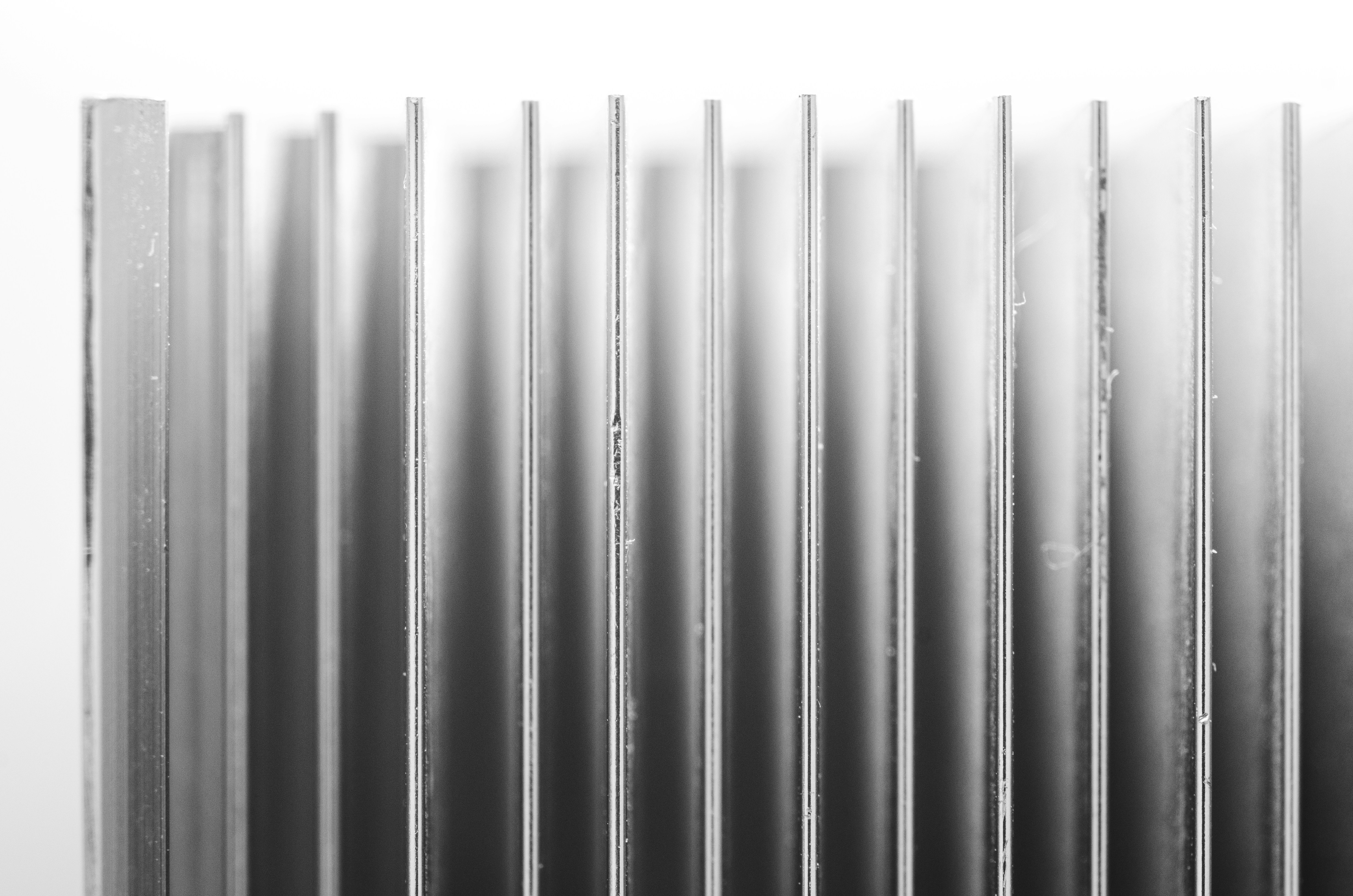 Photo by andrilliardbond