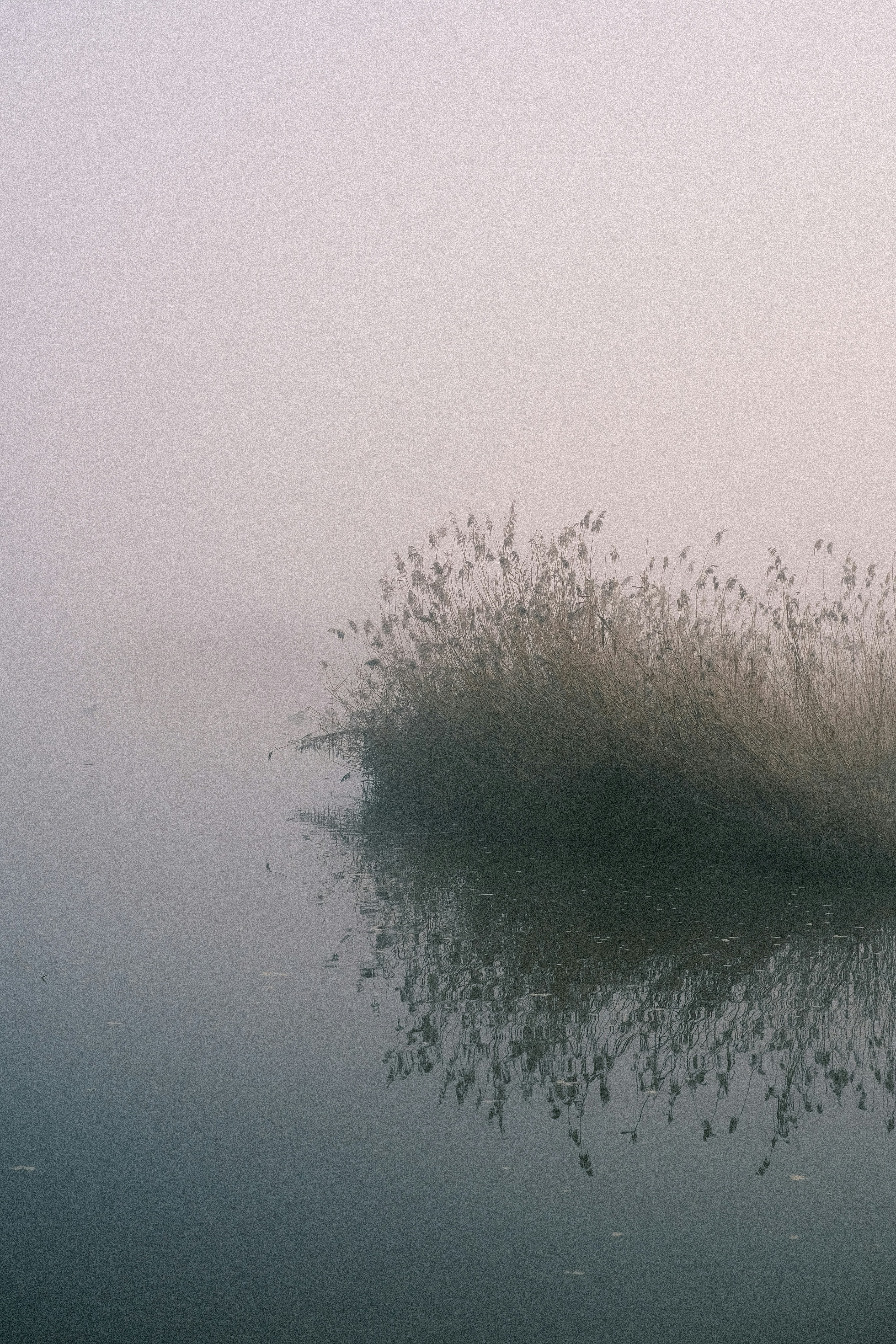 Photo by visualsbying