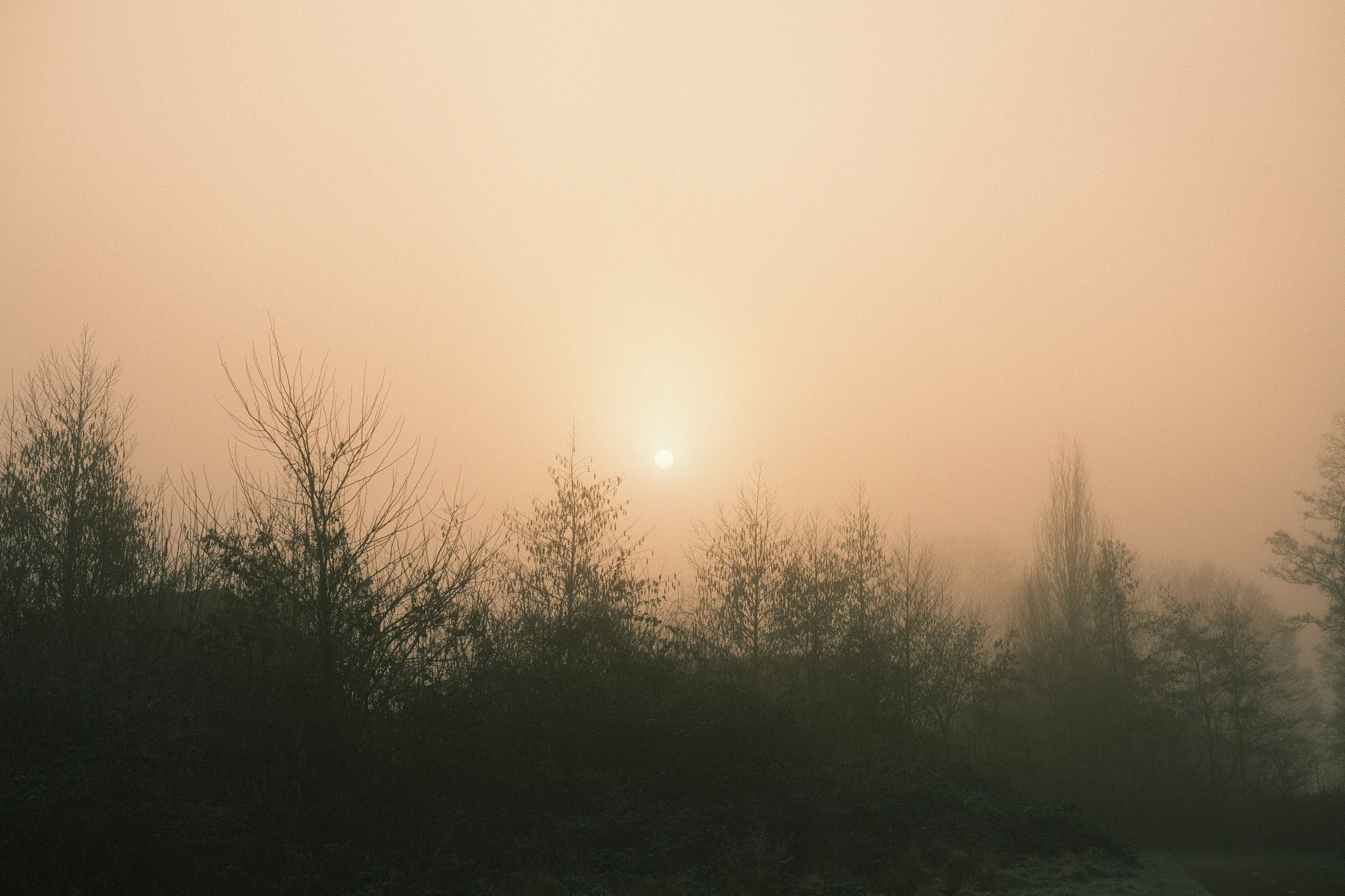 Photo by visualsbying