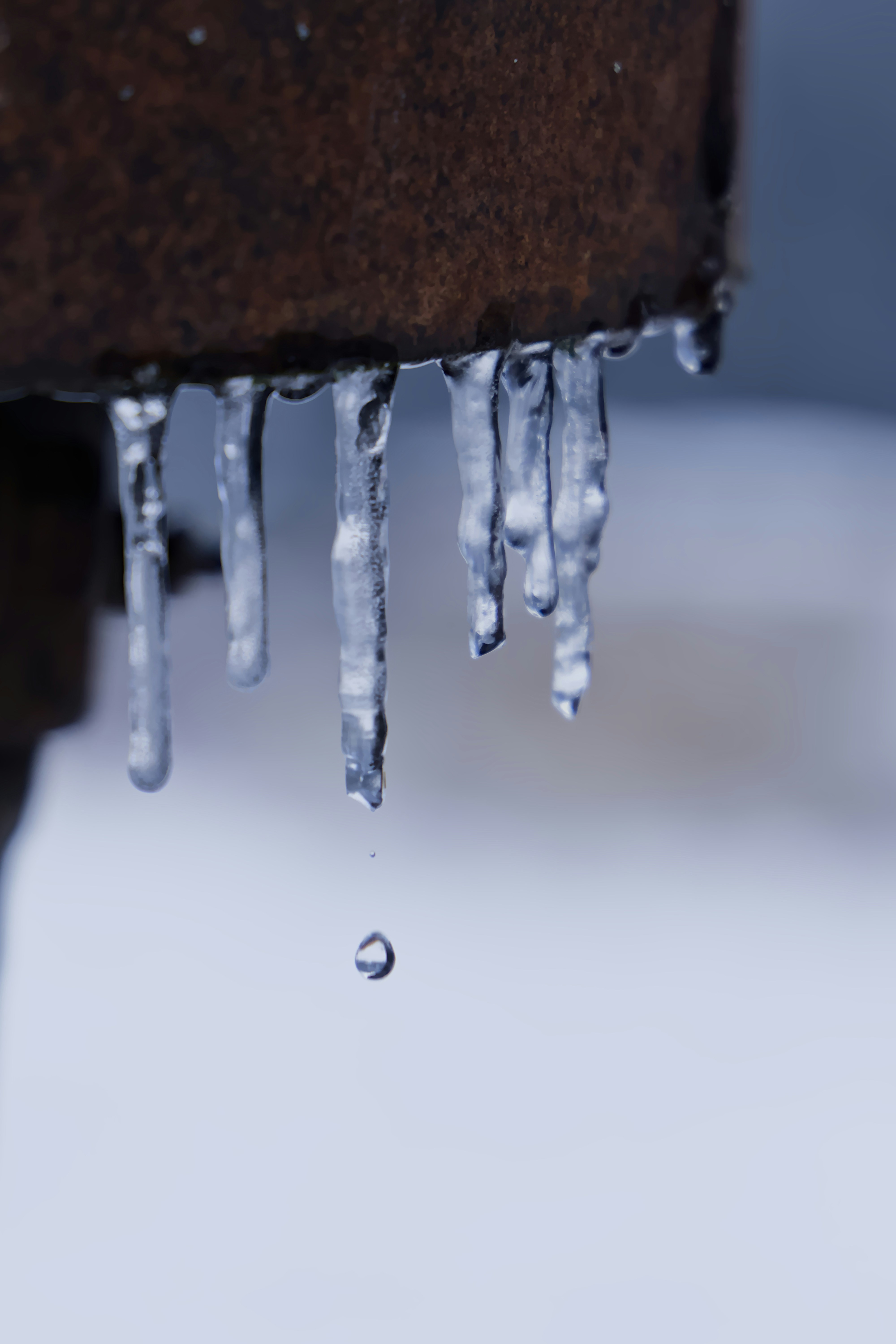 Photo by carbonmonoxide