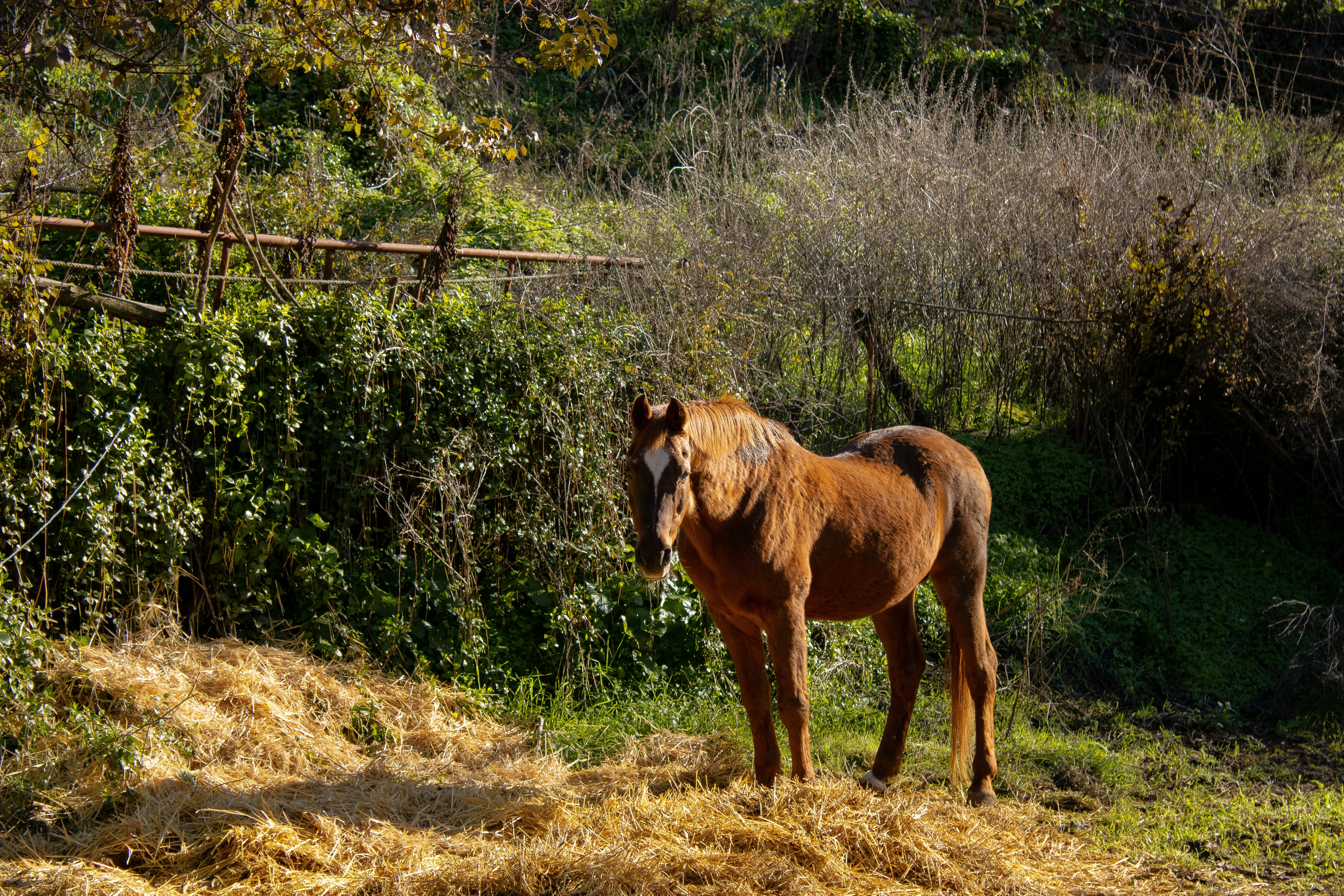 Photo by alvarorm